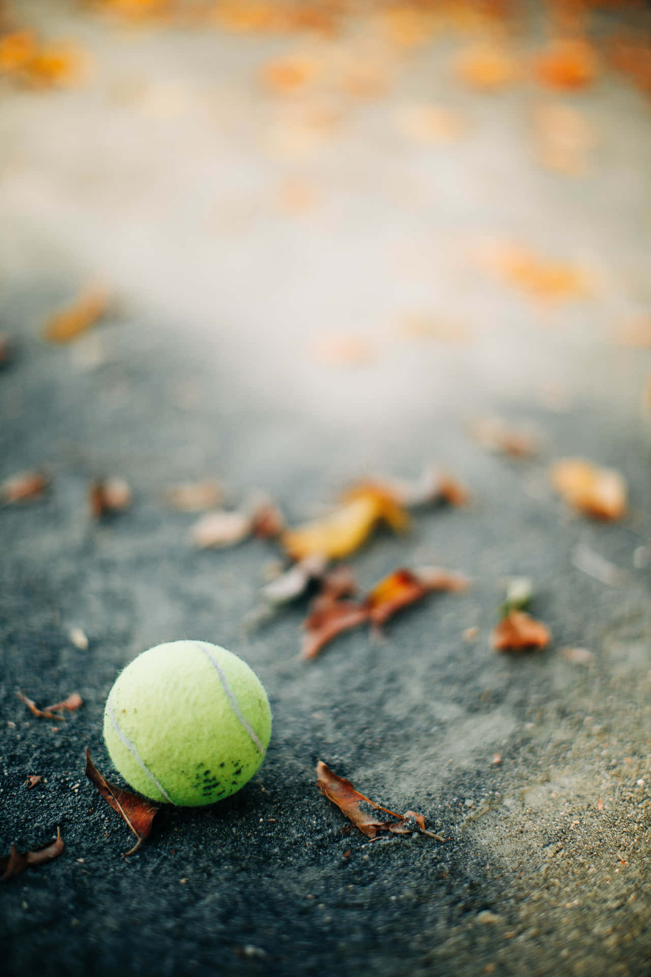 A Yellow Tennis Ball Ready For A Game Of Tennis. Background