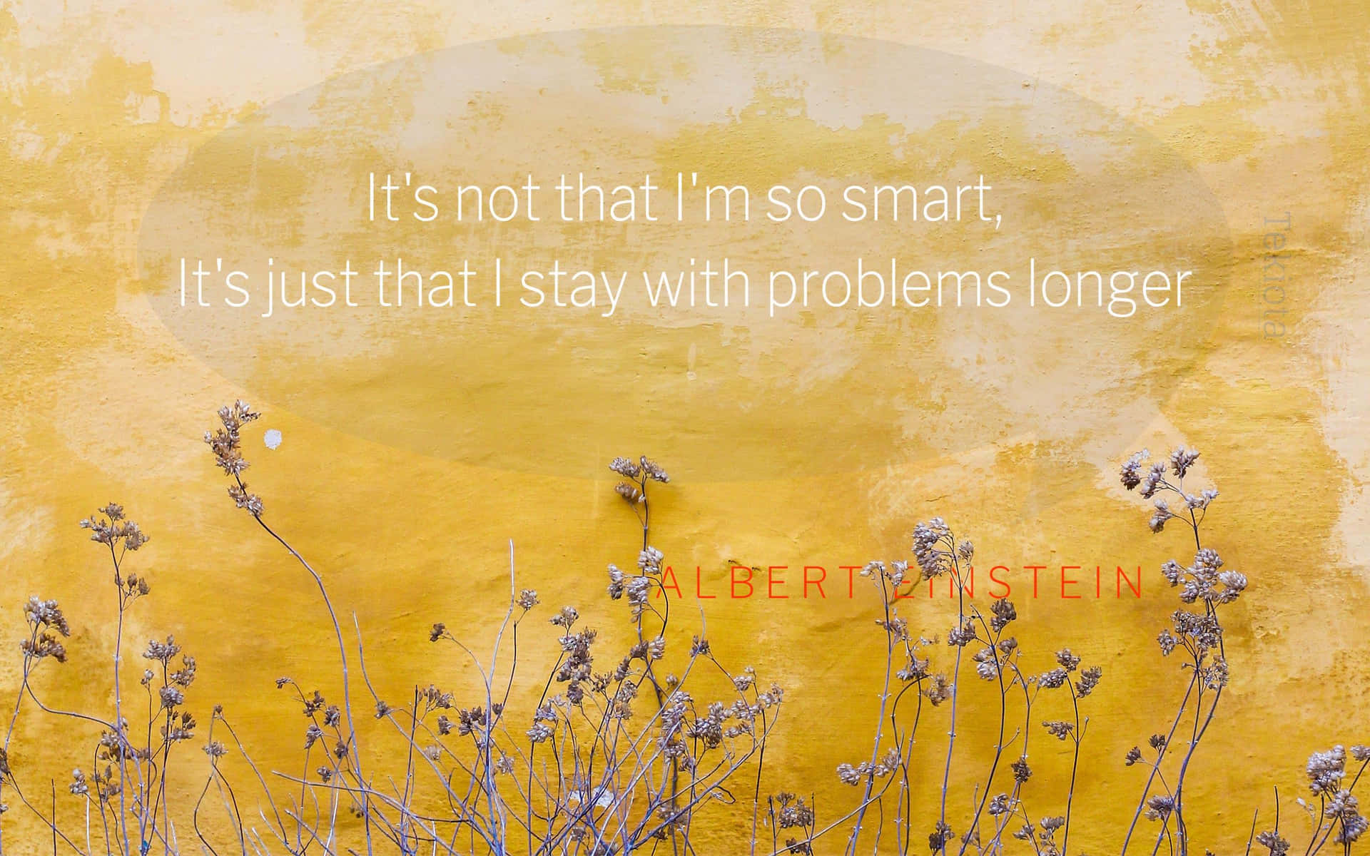 A Yellow Wall With A Quote