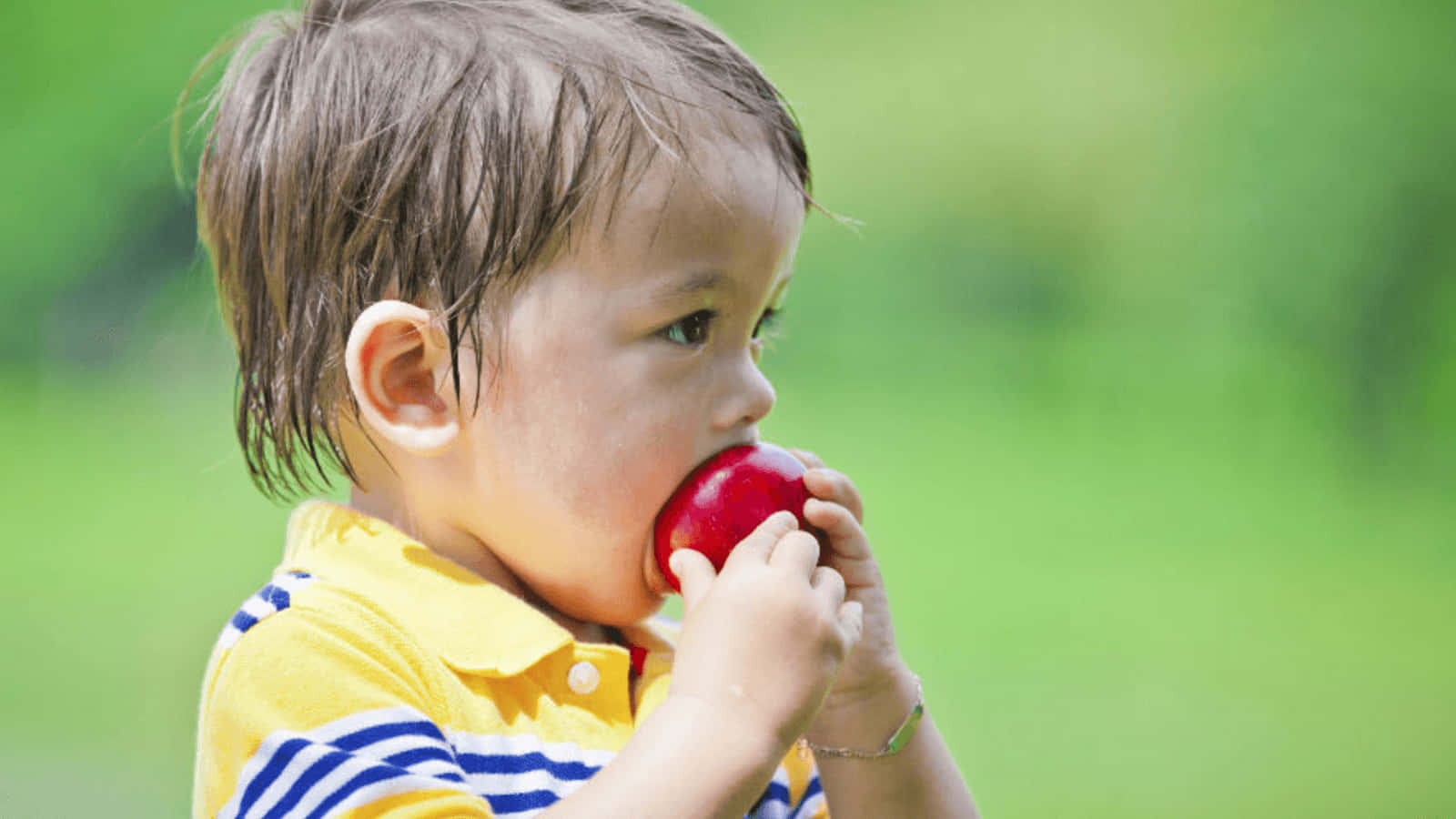 A Young Boy Eating An Apple