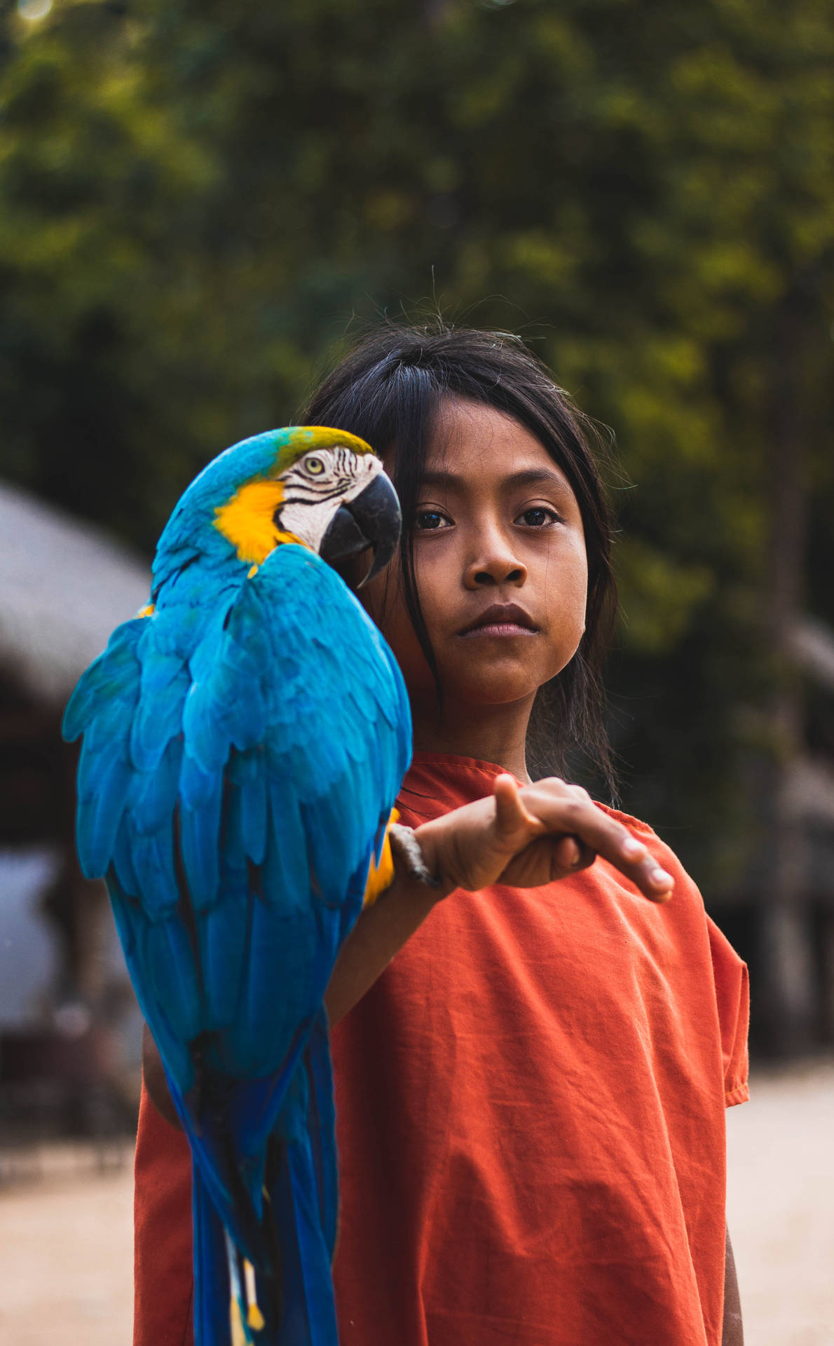 A Young Boy Interacting With A Vibrant Blue Parrot Background