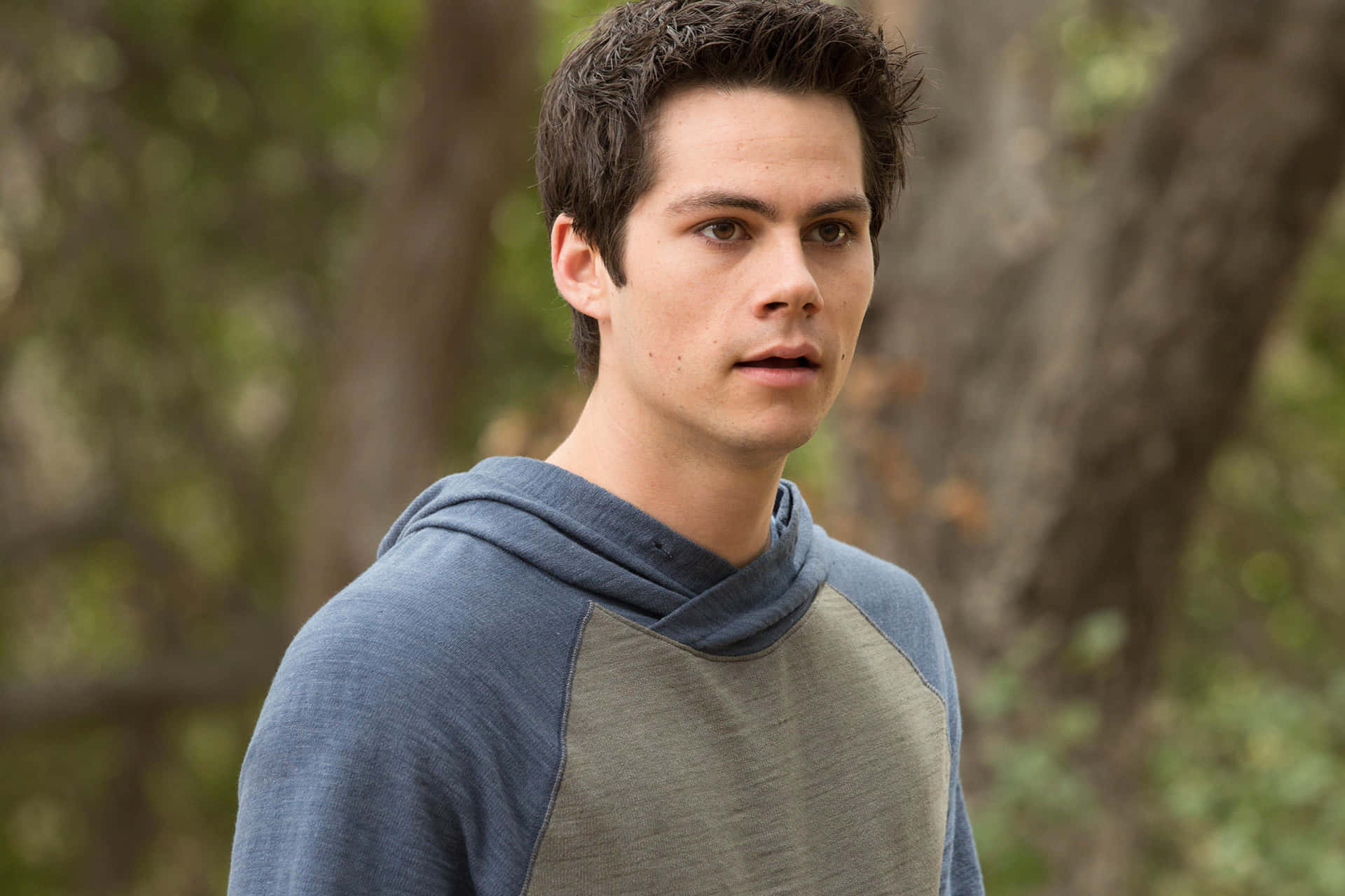 A Young Man In A Gray Hoodie Standing In The Woods Background