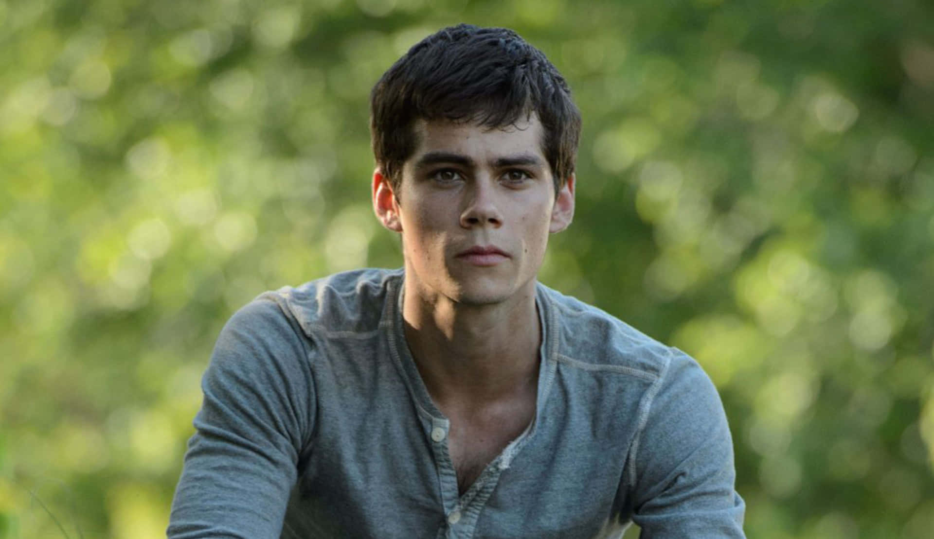 A Young Man Sitting On A Grassy Field Background