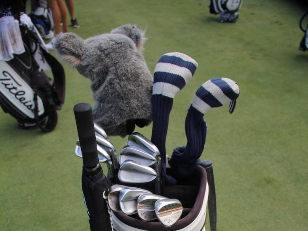 Aaron Baddeley Golf Equipment Background