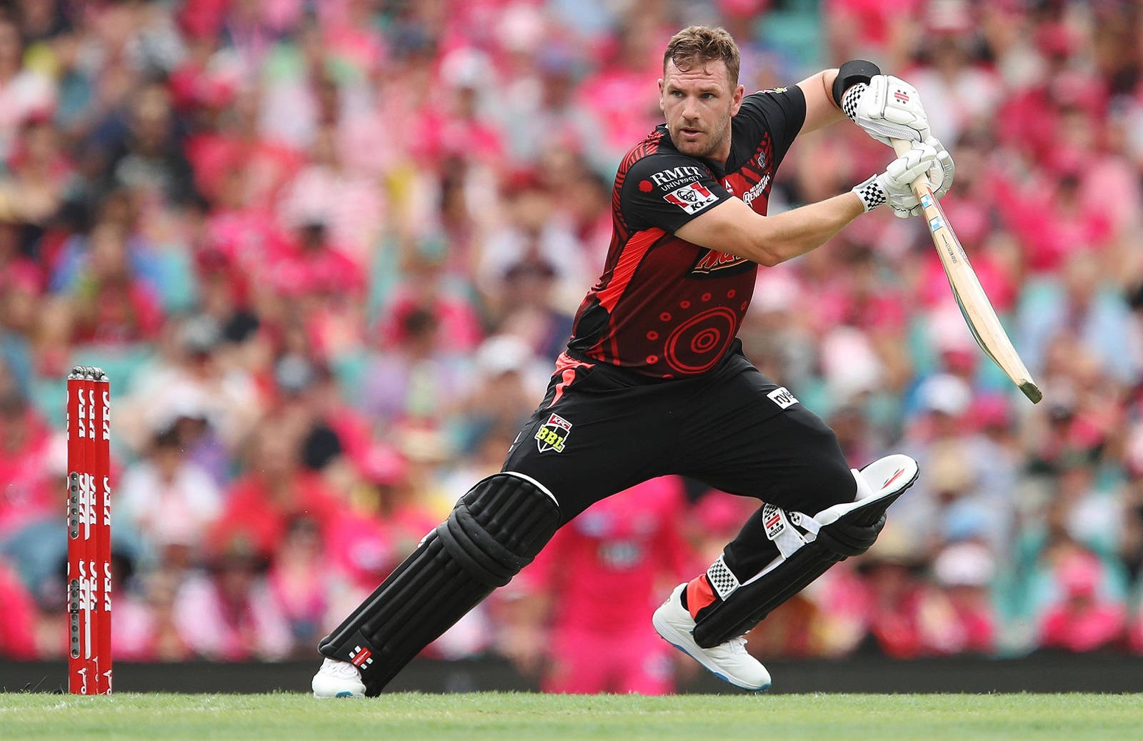 Aaron Finch Black And Red Uniform Background