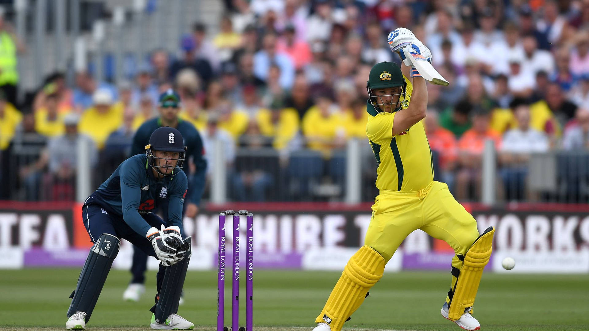 Aaron Finch Playing Against England