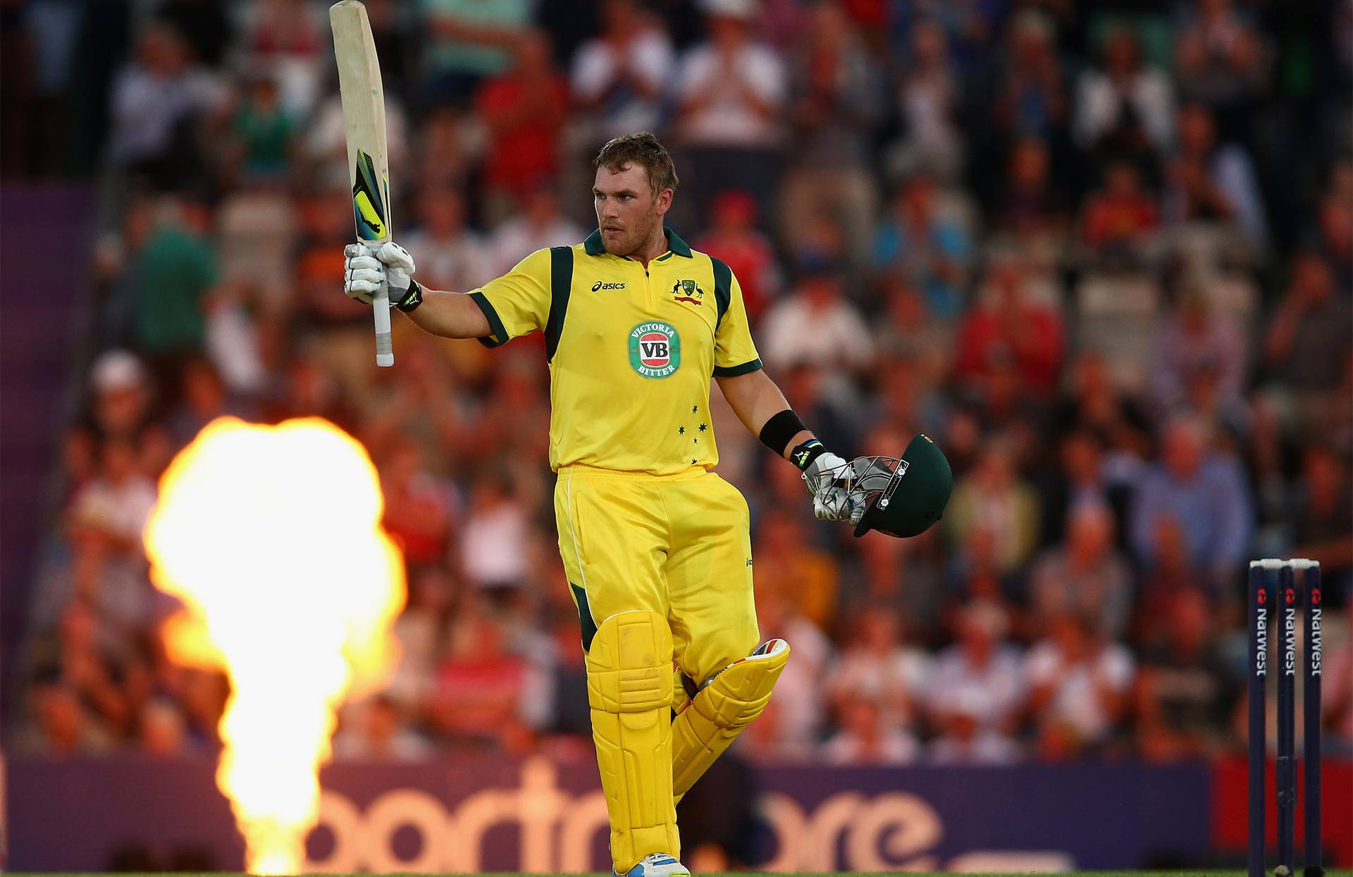 Aaron Finch Professional Cricket Player