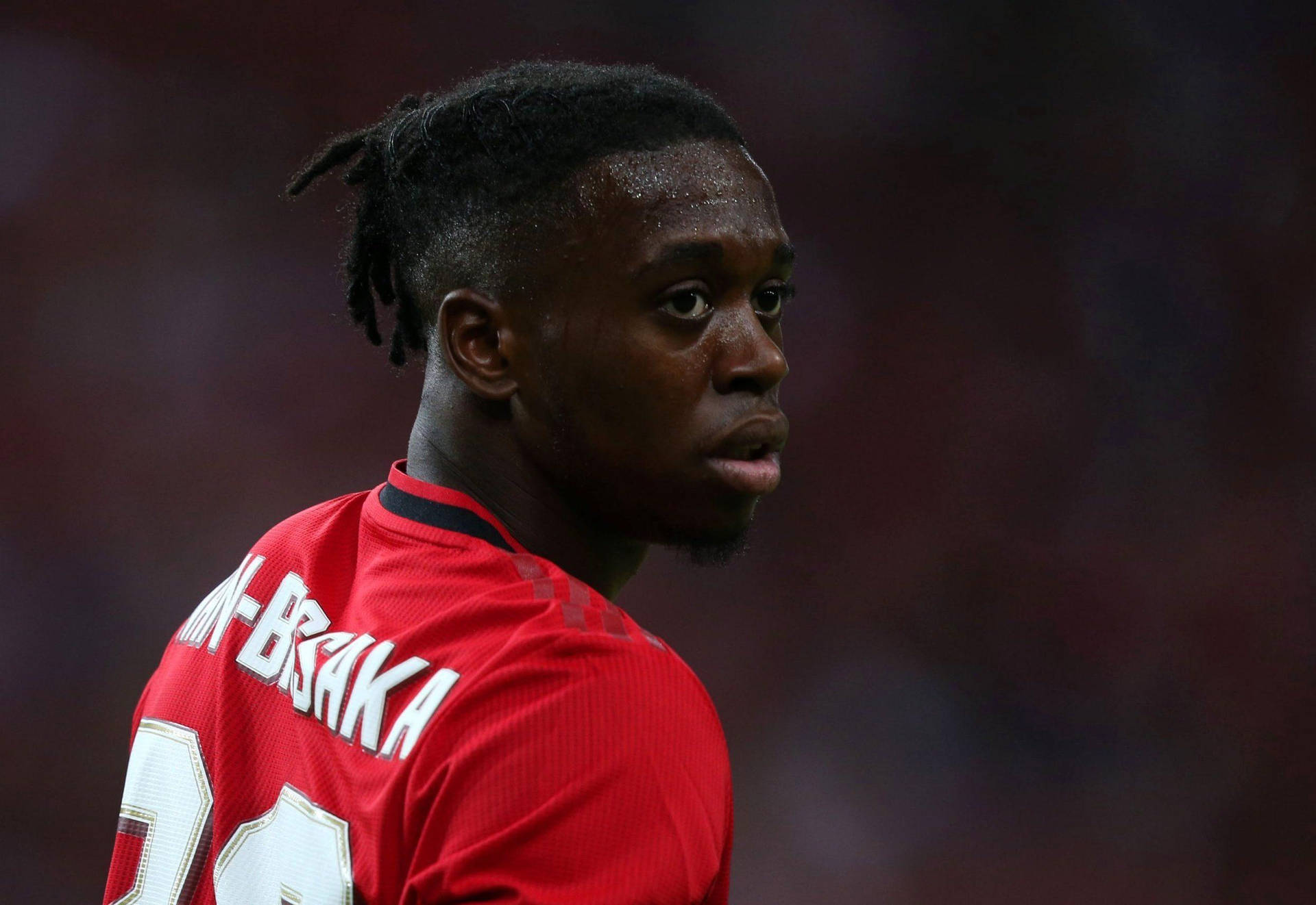 Aaron Wan-bissaka Back Turned