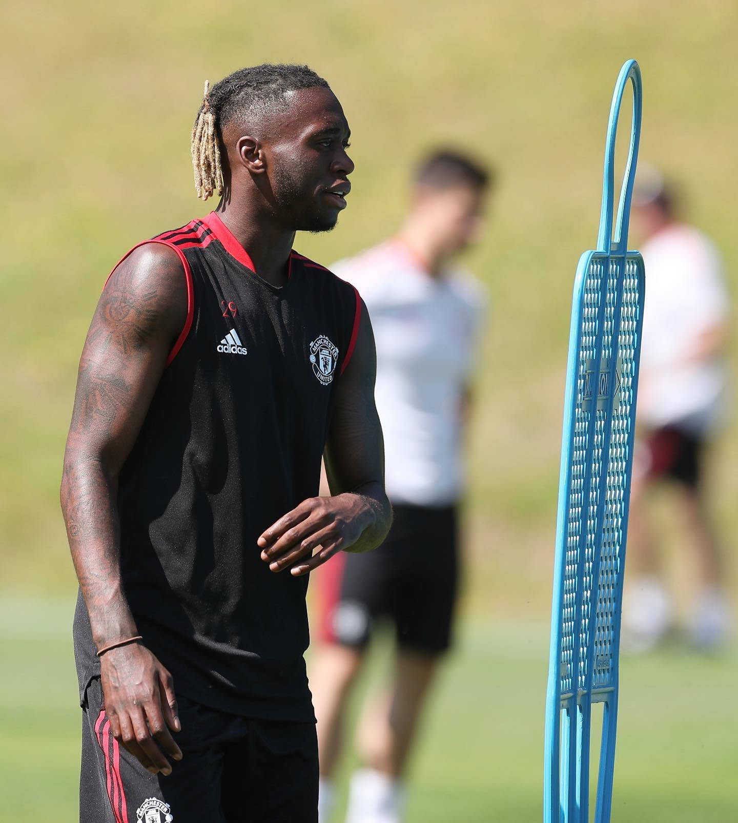 Aaron Wan-bissaka Blue Training