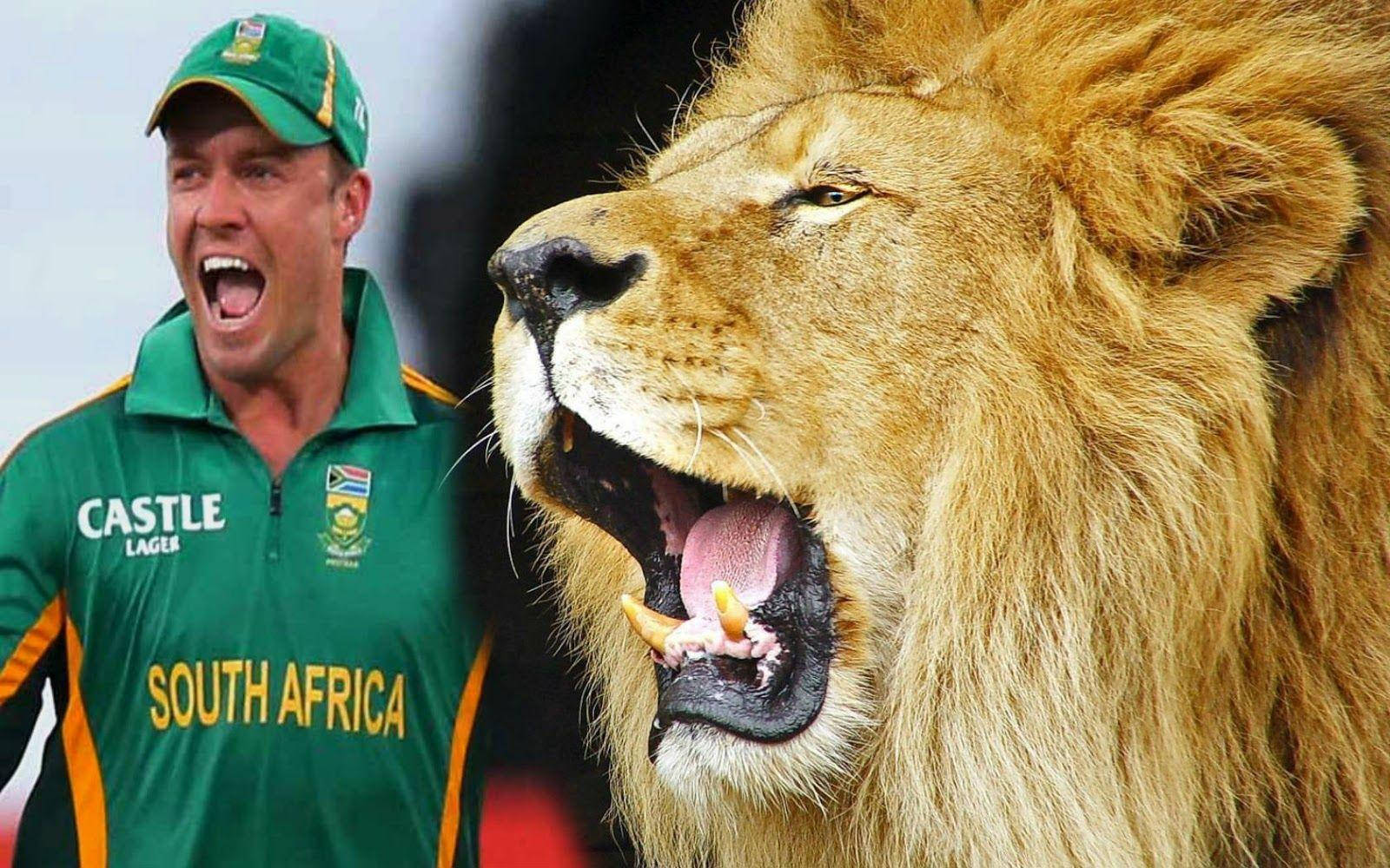Ab De Villiers Roaring Lion Background