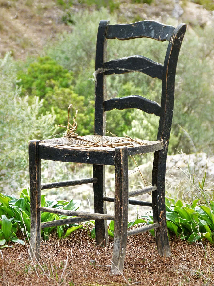 Abandoned Black Chair Near Bushes Background