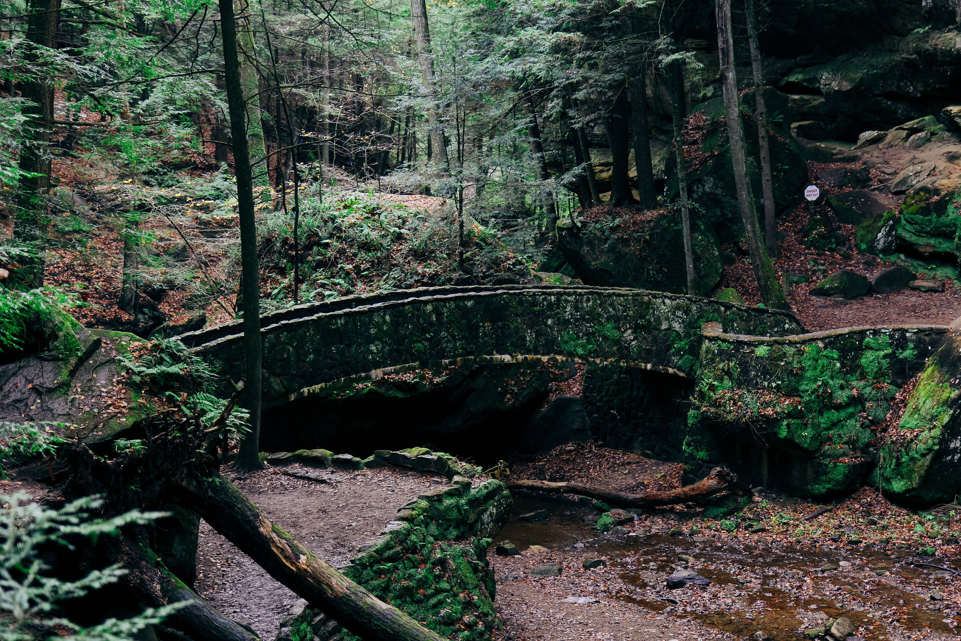 Abandoned Bridge In Rainforest Background