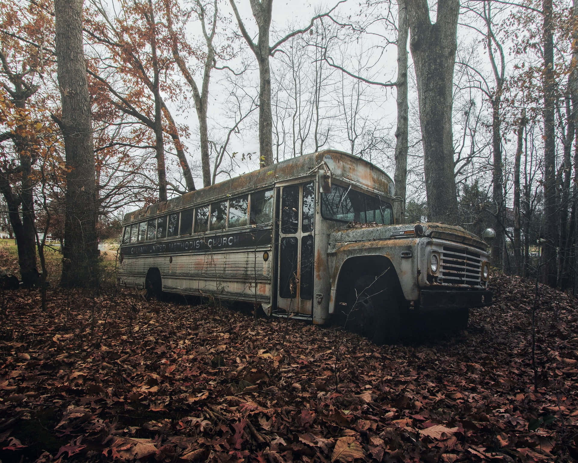 Abandoned Old School Bus In Woods