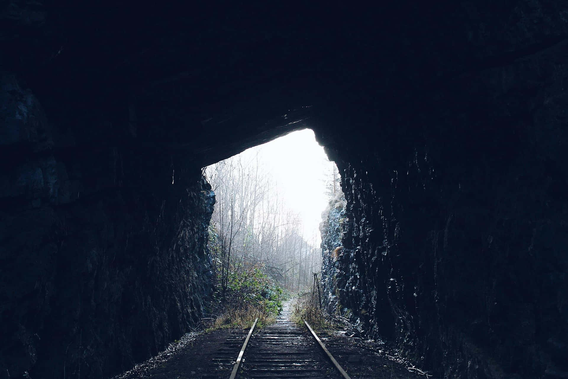 Abandoned Railway Tunnel Exit.jpg Background