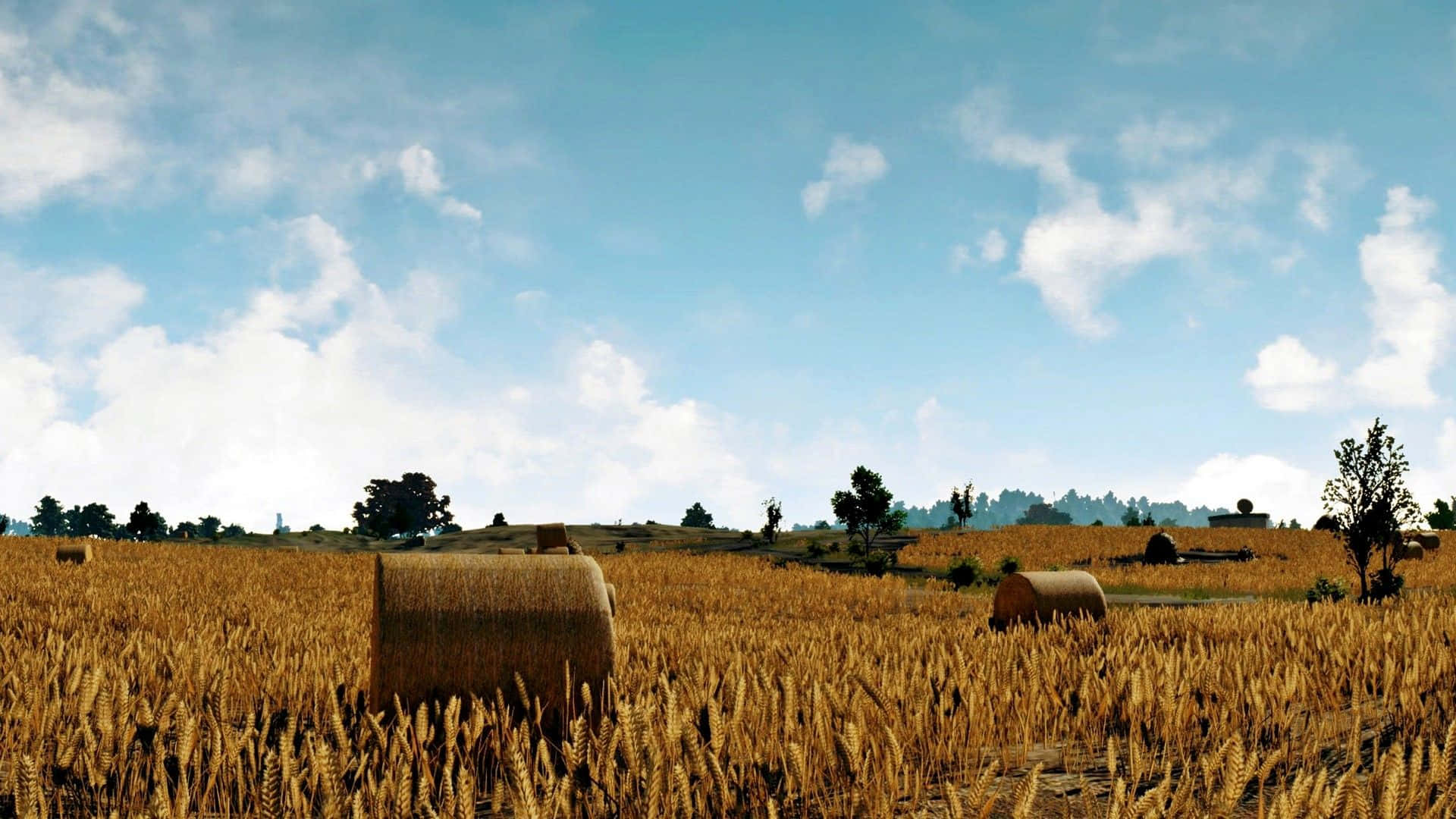 Abandoned Rice Field Pubg 1920x1080 Background