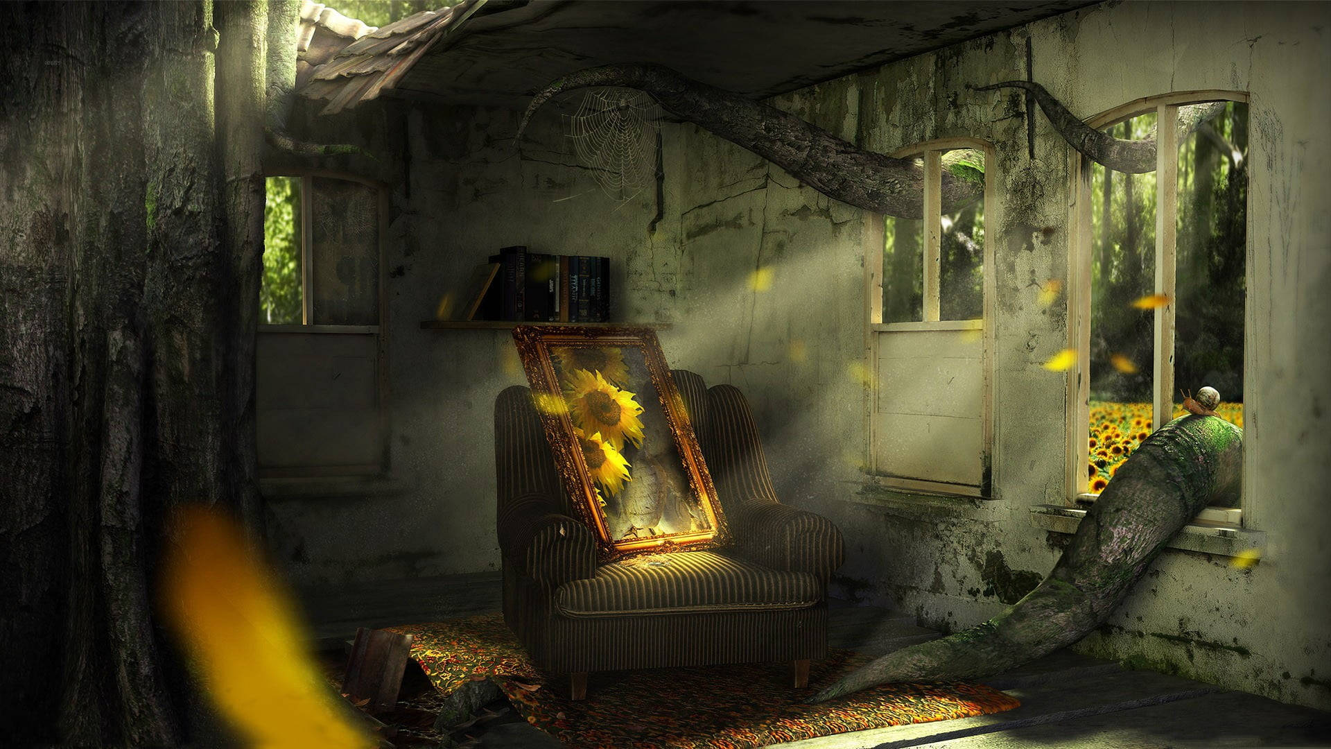 Abandoned Sunflower Laptop Background