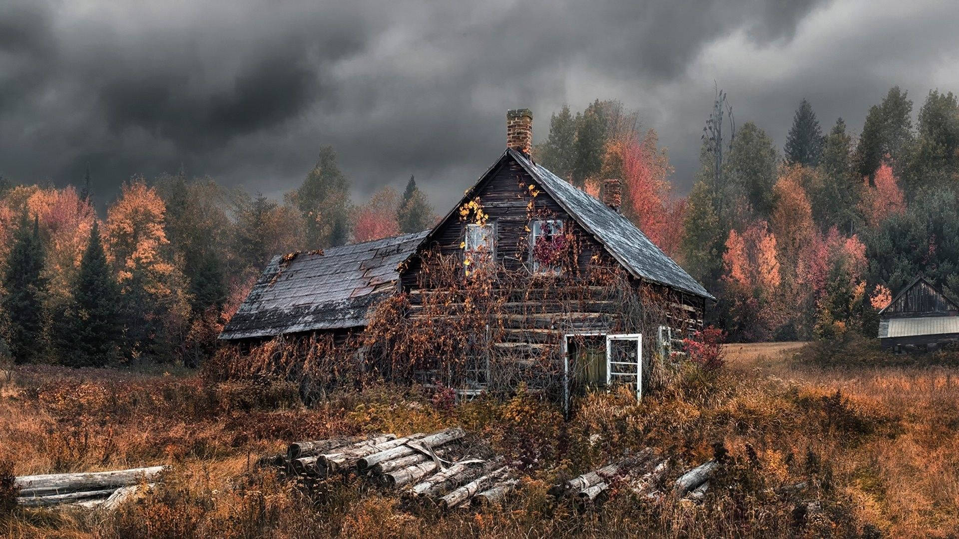 Abandoned Wooden House Background