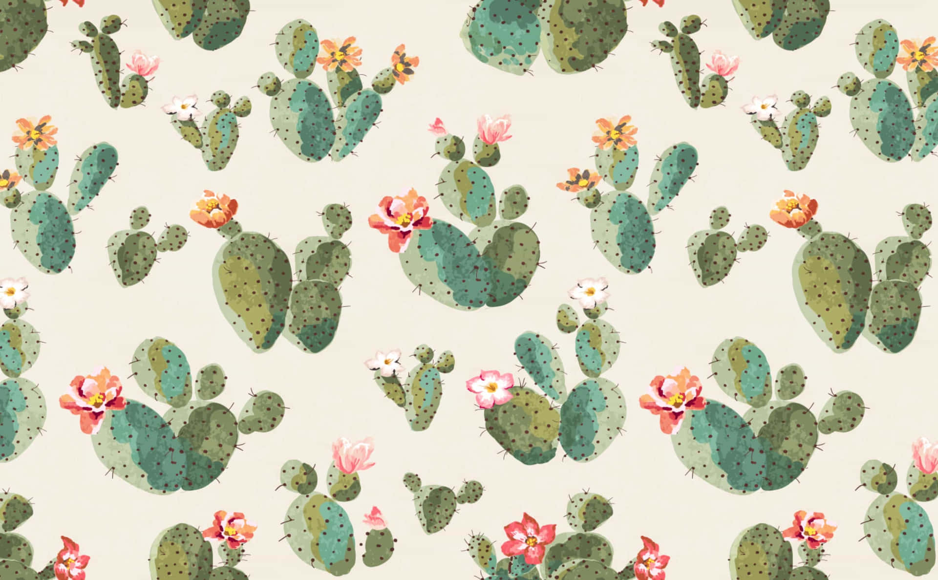 Able Cactus Background