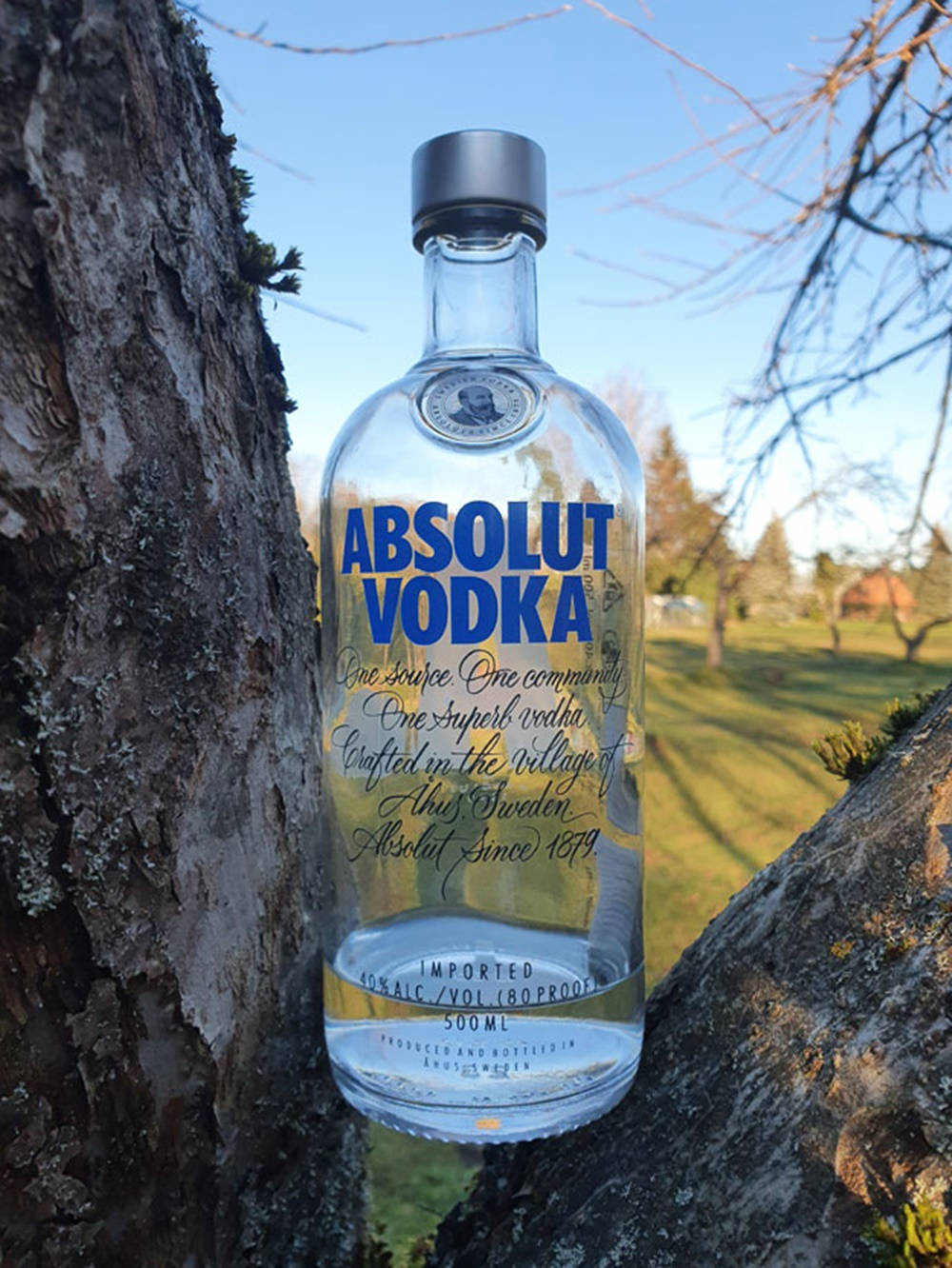 Absolut Vodka Bottle In Between Tree Background