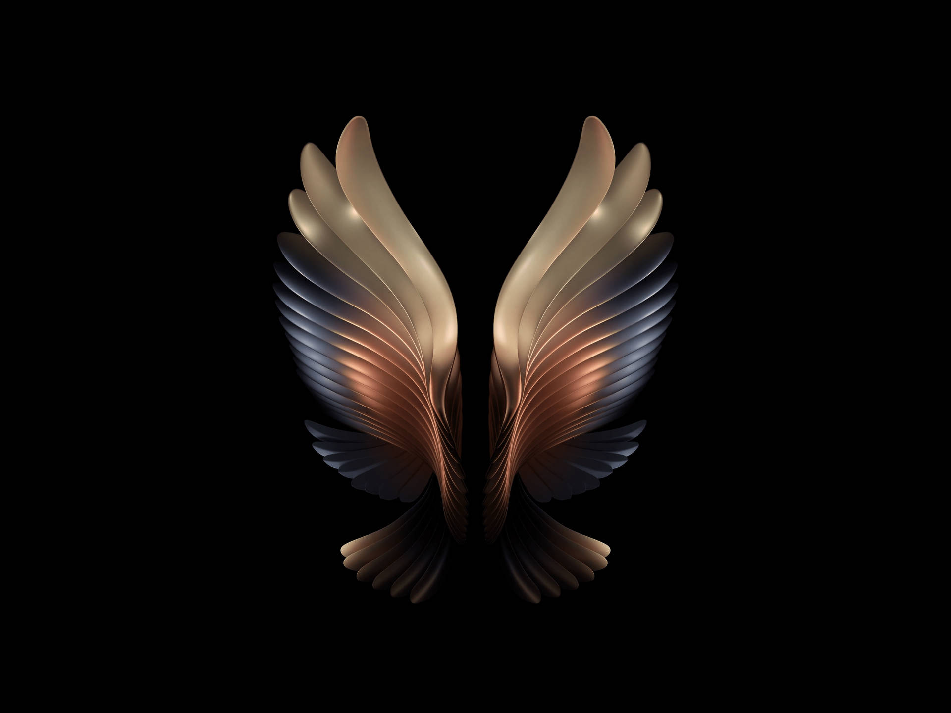 Abstract Bird Wings Background