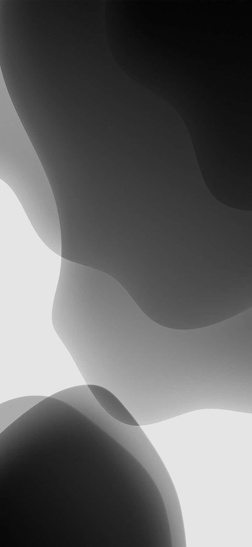 Abstract_ Black_and_ White_ Curves