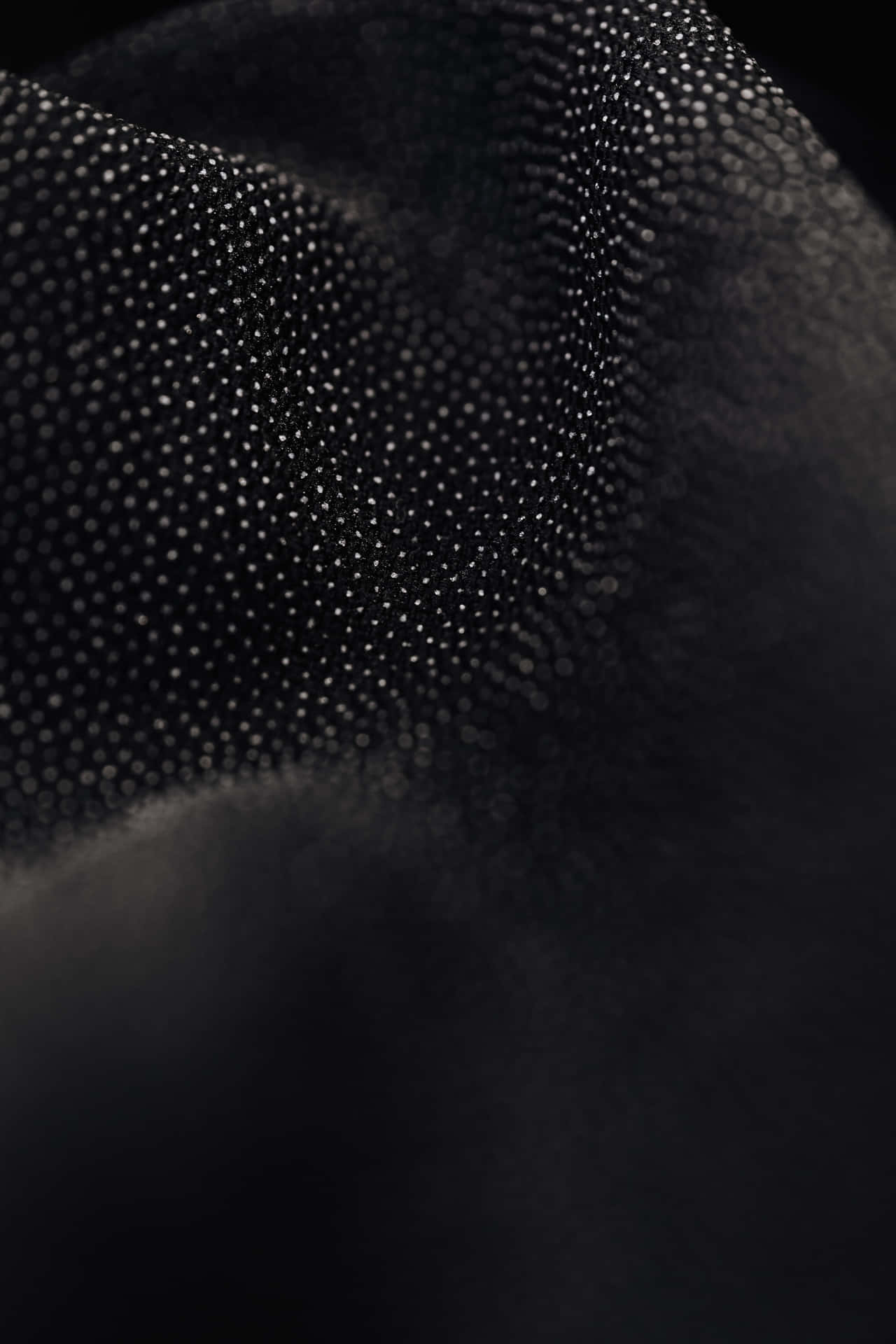 Abstract Black And White Dots Pattern Background