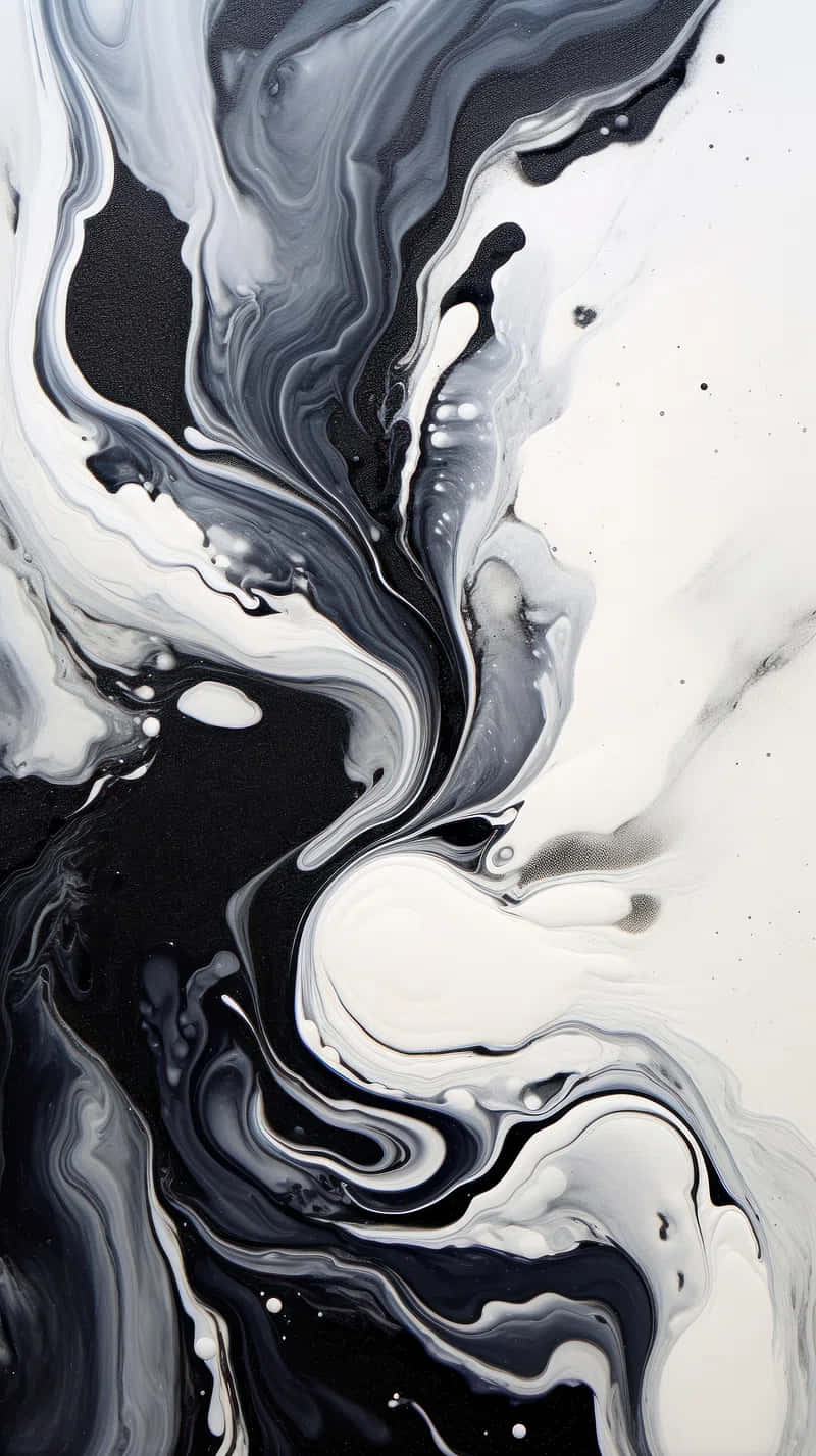 Abstract_ Black_and_ White_ Fluid_ Art