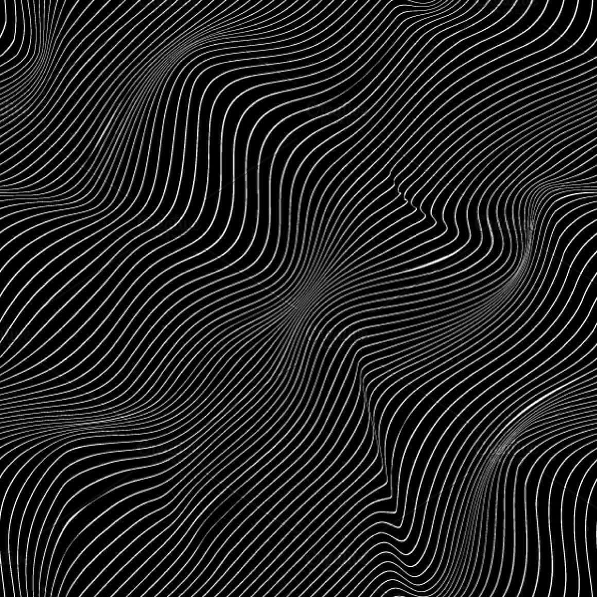 Abstract Black White Contour Lines Background
