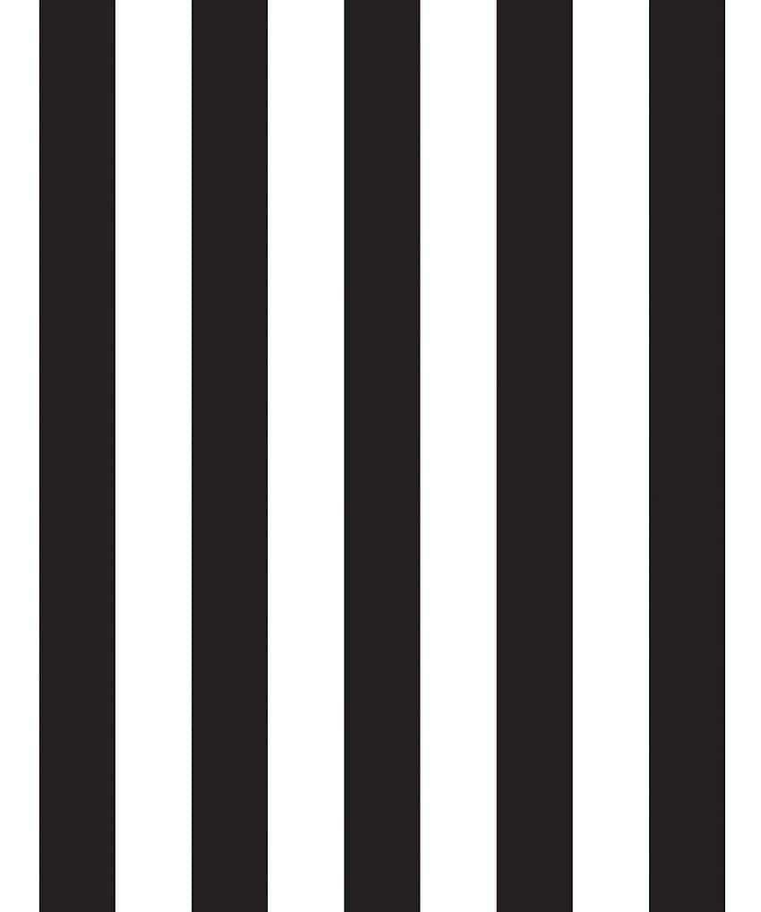 Abstract Black White Stripes Background