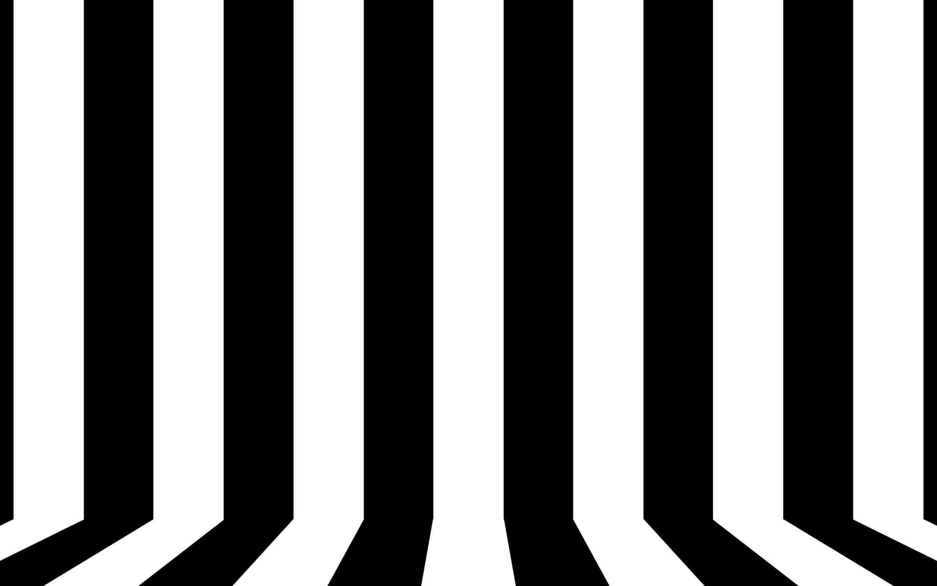 Abstract Black White Stripes Background