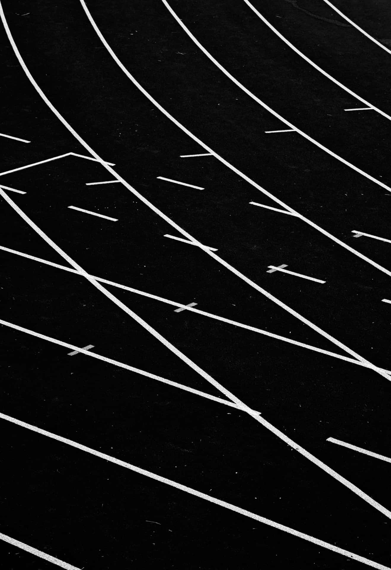Abstract Blackand White Curves Background