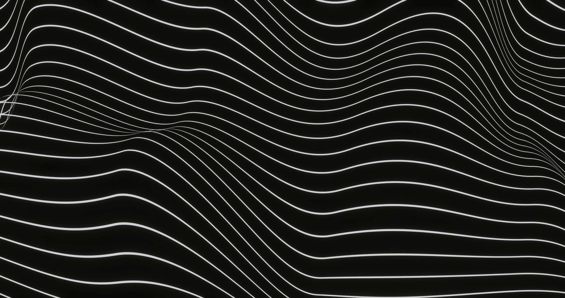 Abstract Blackand White Wave Lines Background