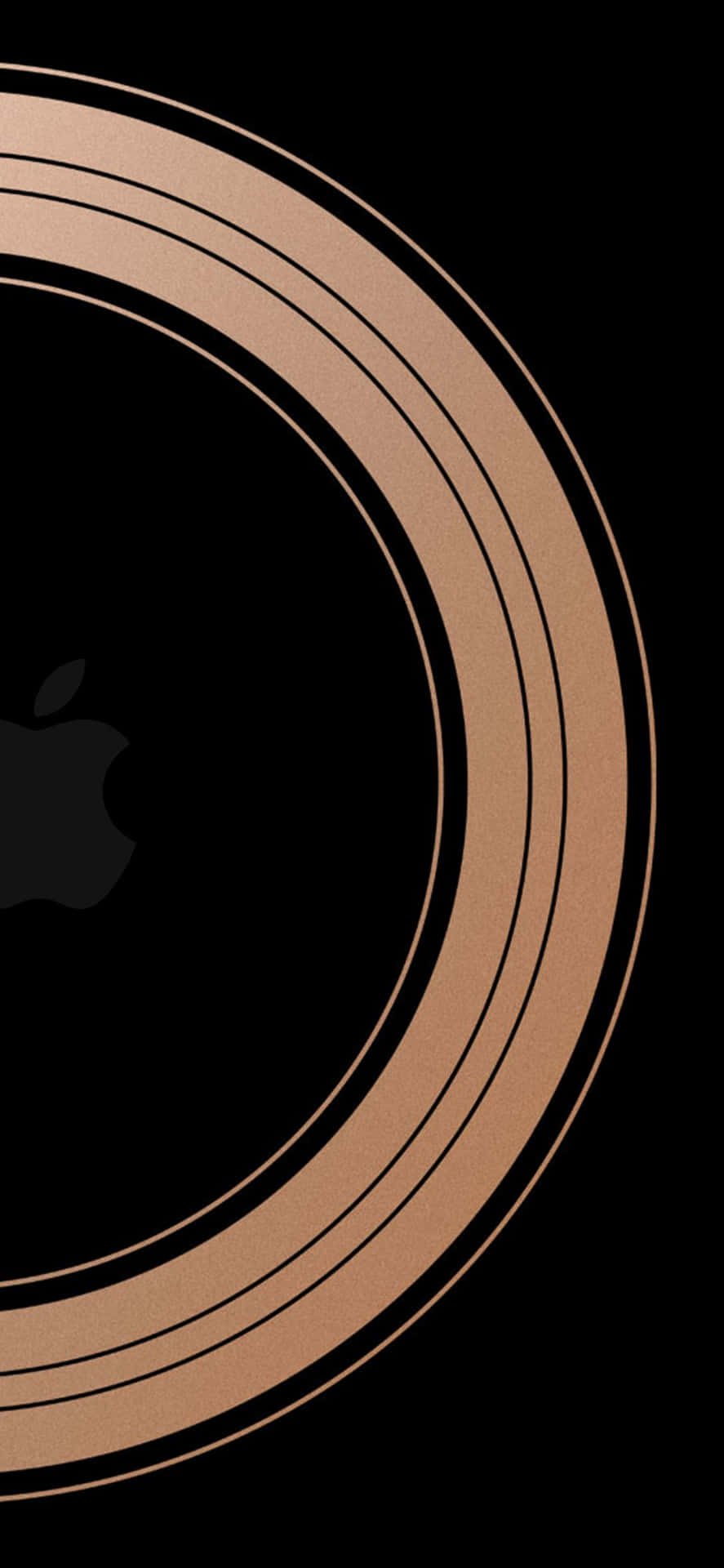 Abstract Copper Lineson Black Background