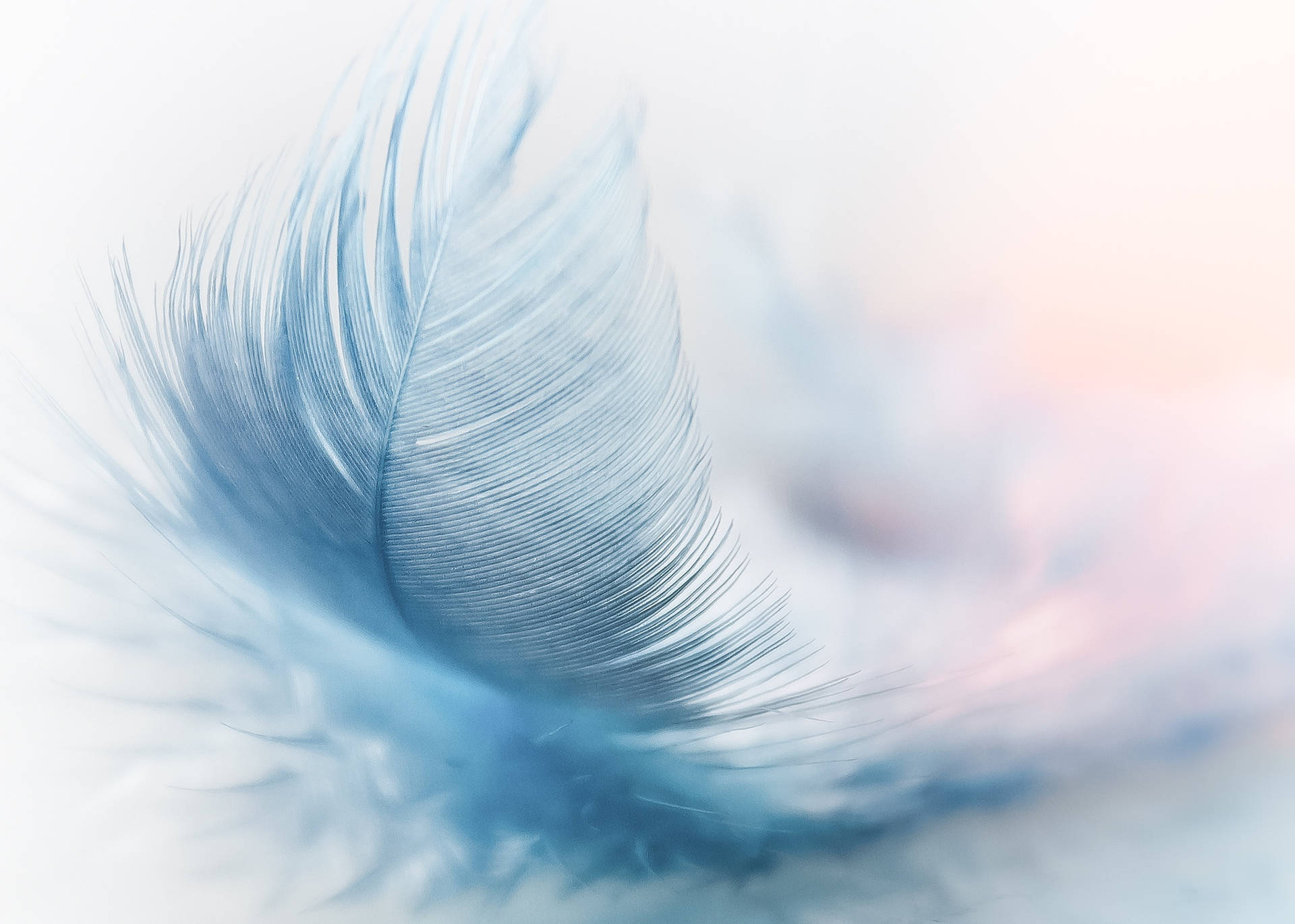 Abstract Feather Blue Color Hd Background