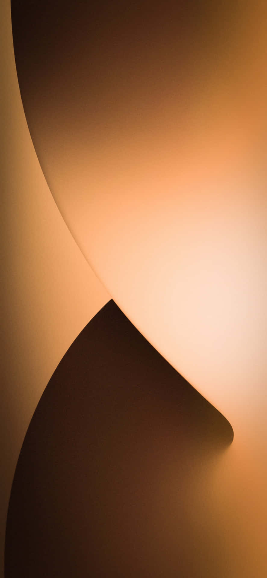 Abstract_ Gradient_ Curves