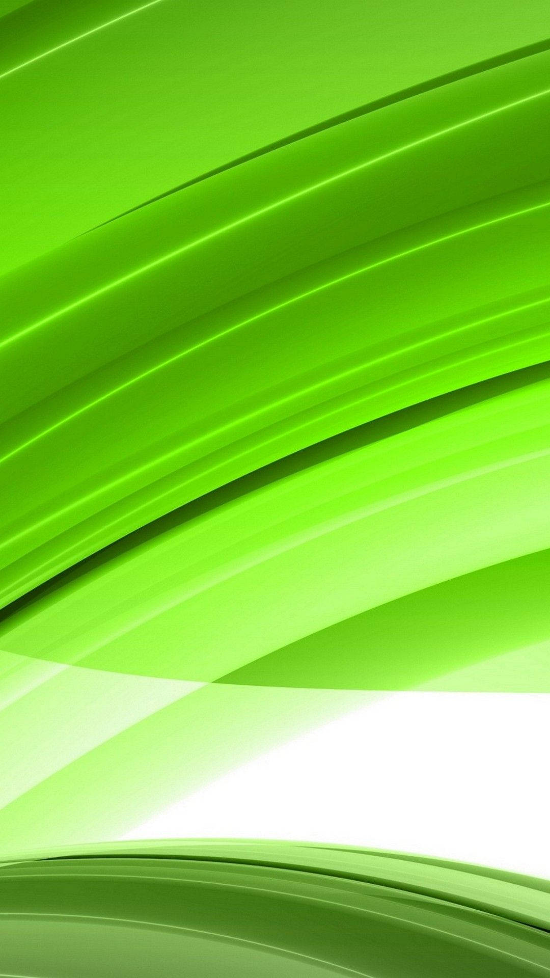 Abstract Light Green Lines Background