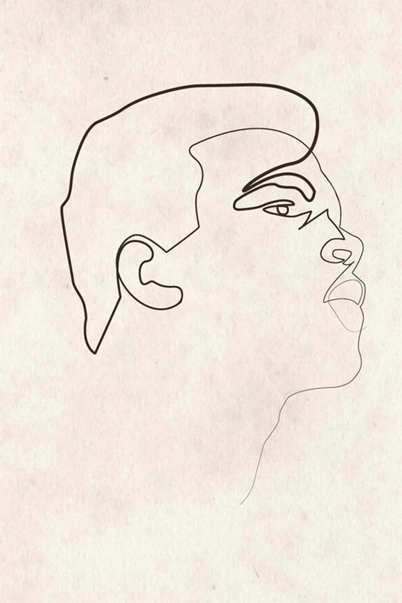 Abstract Lines Form Colorful Swirls