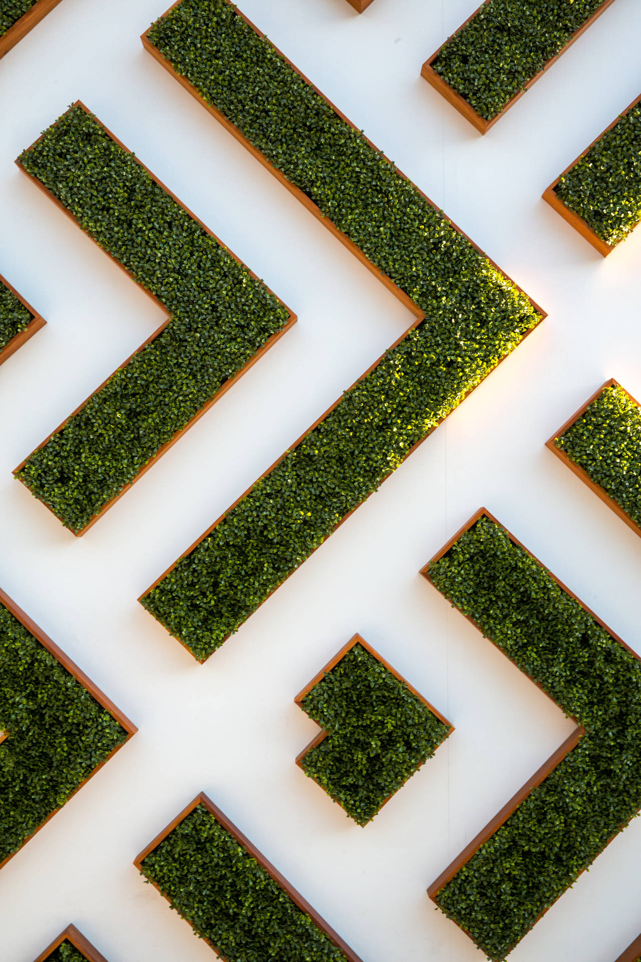 Abstract Maze Garden Background