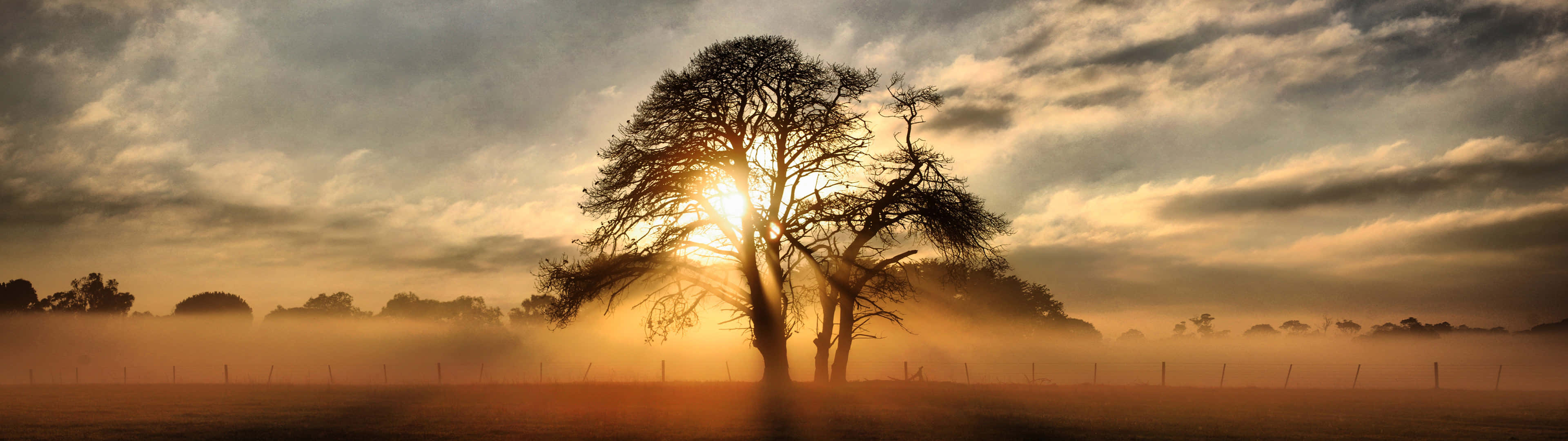 Abstract Net Abstract Work Of Art Background