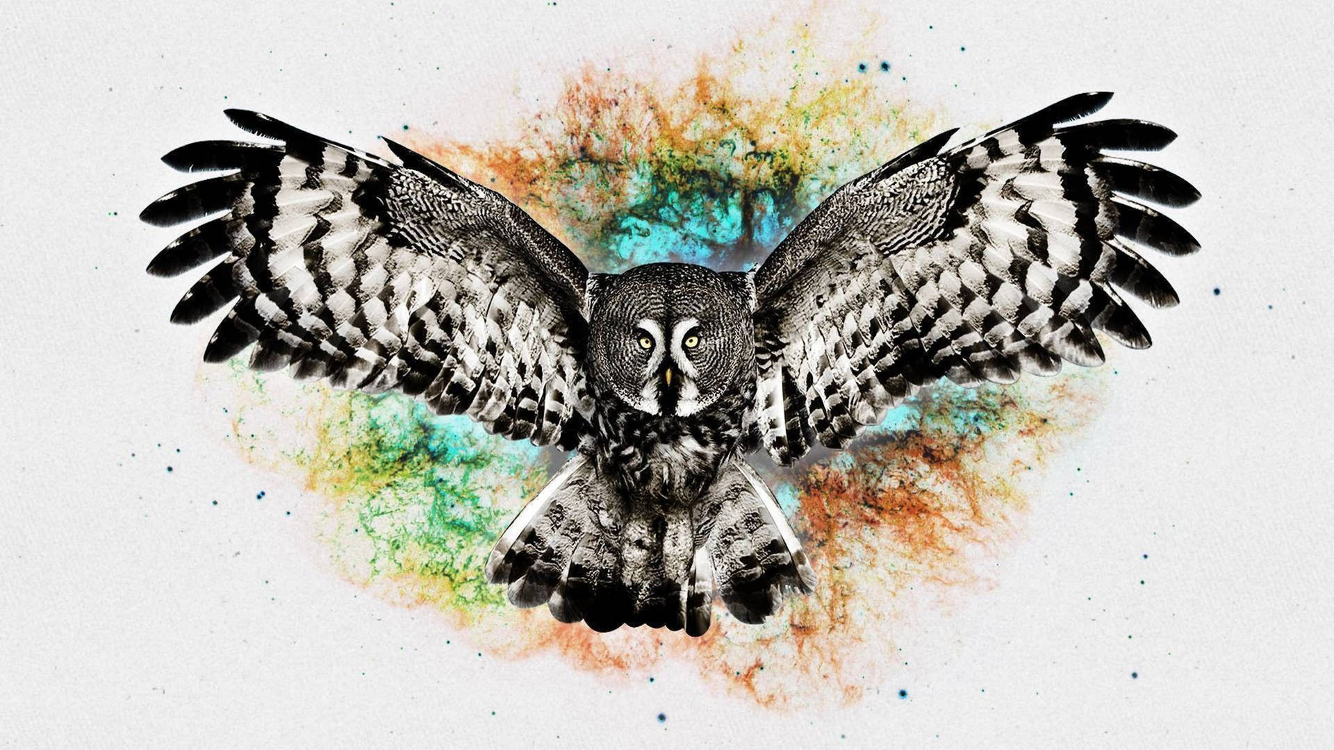 Abstract Painted Cute Owl Background