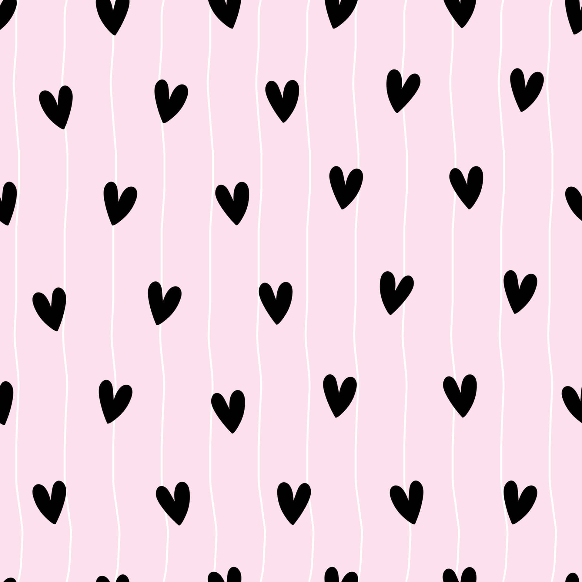 Abstract Pink And Black Lines Contrast In Harmony. Background