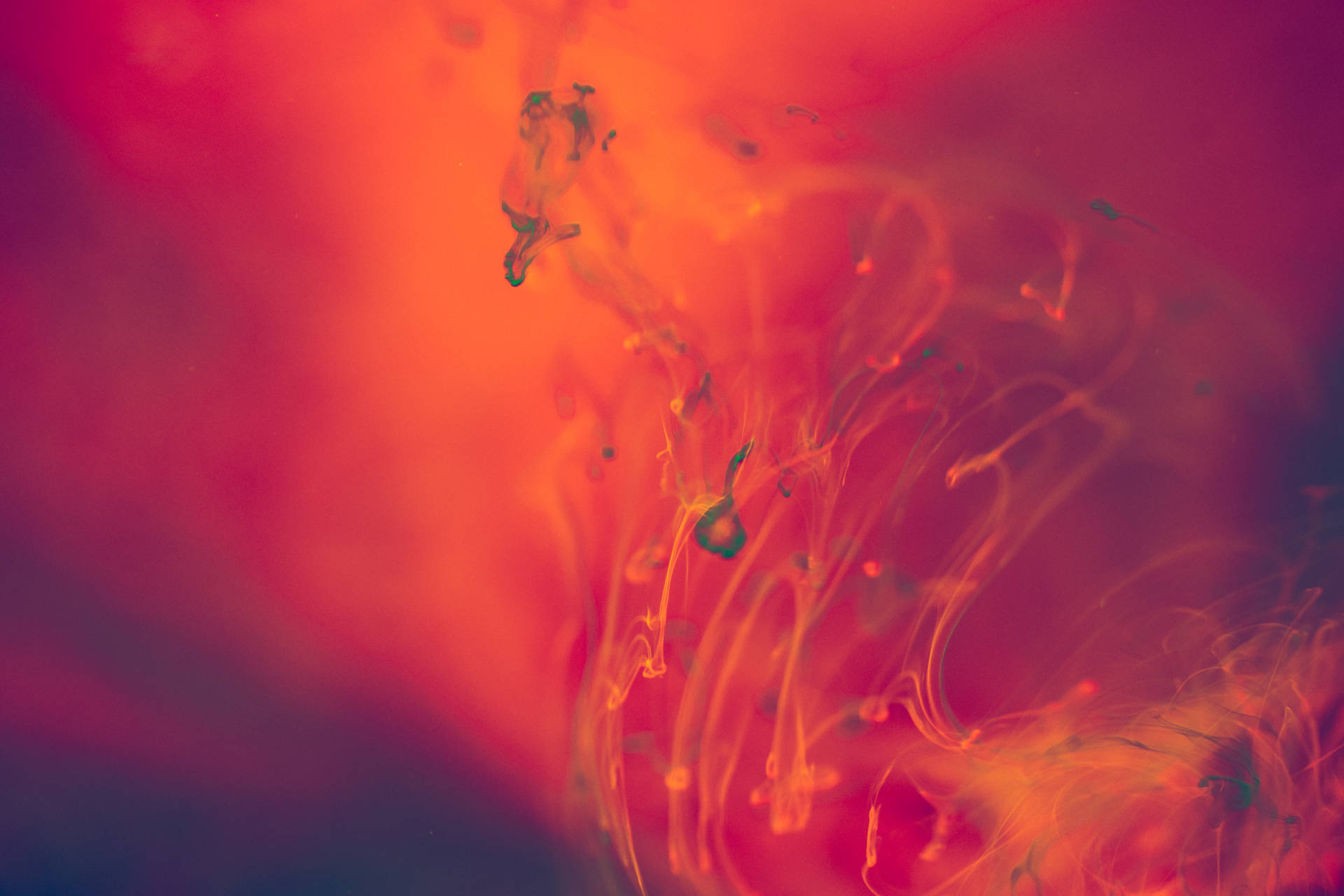 Abstract Red Color Liquid