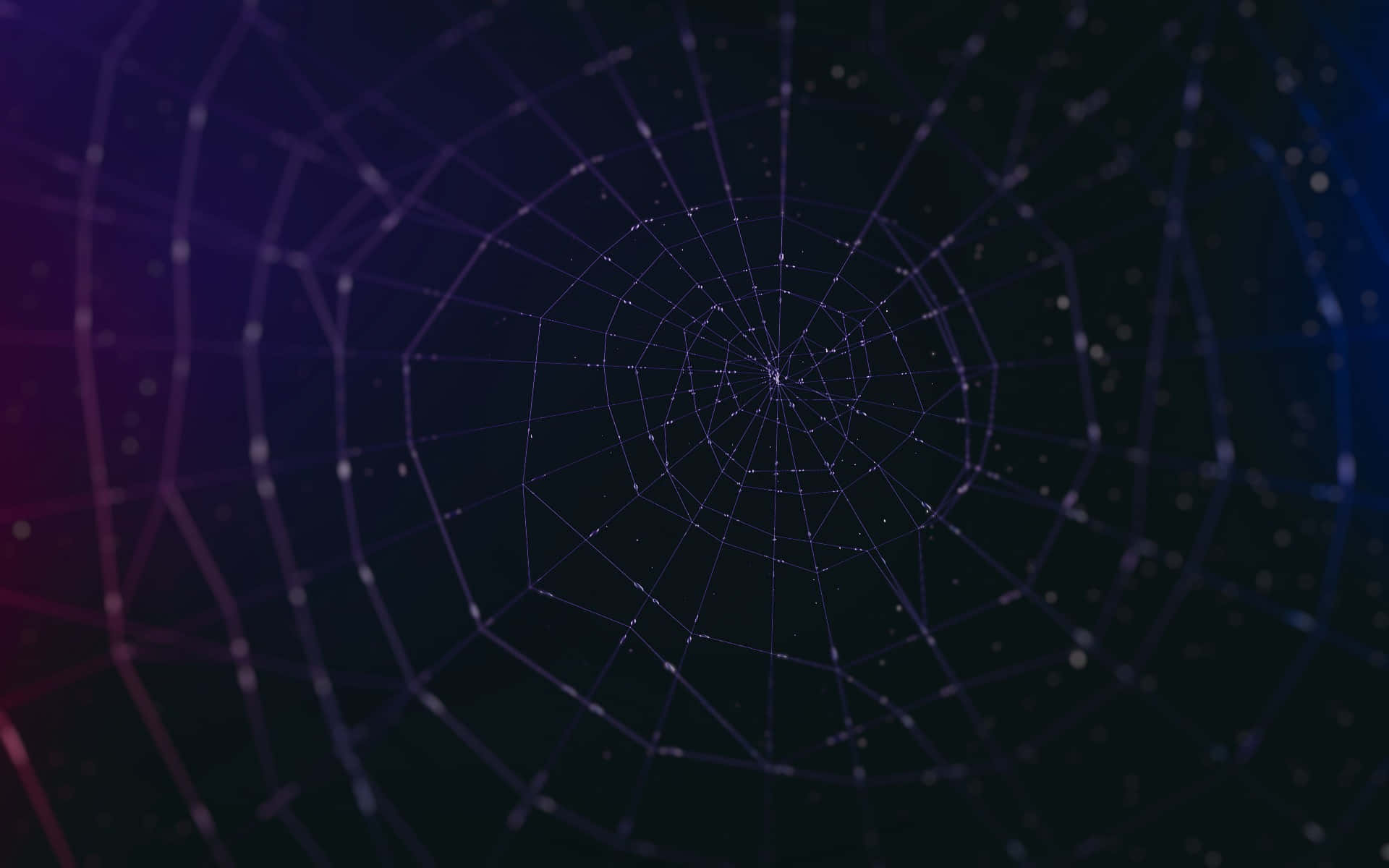 Abstract Spider Web Network Background Background