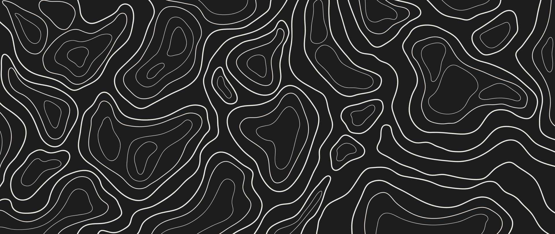 Abstract Topographic Lines Vector Background