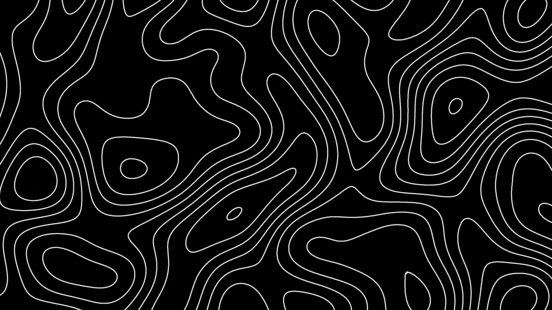 Abstract Topographic Lines4 K B W Background