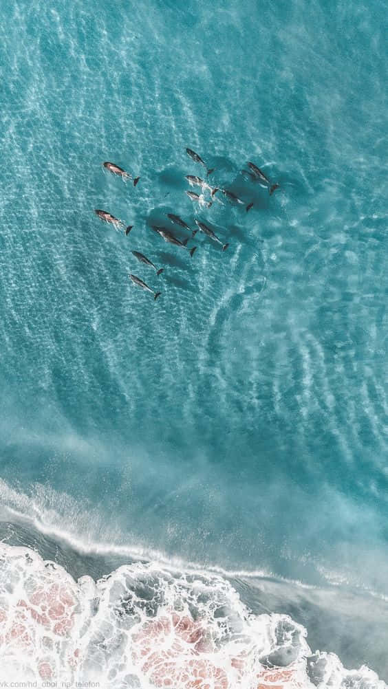 Abstract Wave Captivatingly Offering Aesthetics. Background