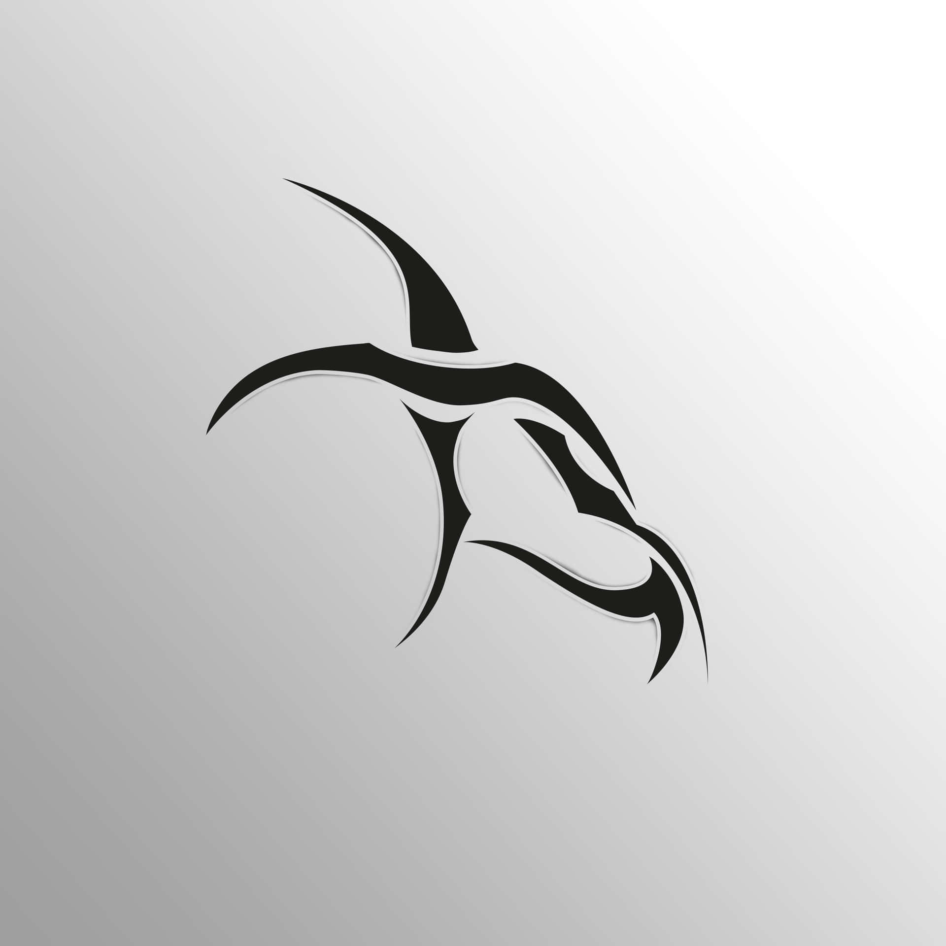 Absurd Bird Heart Background