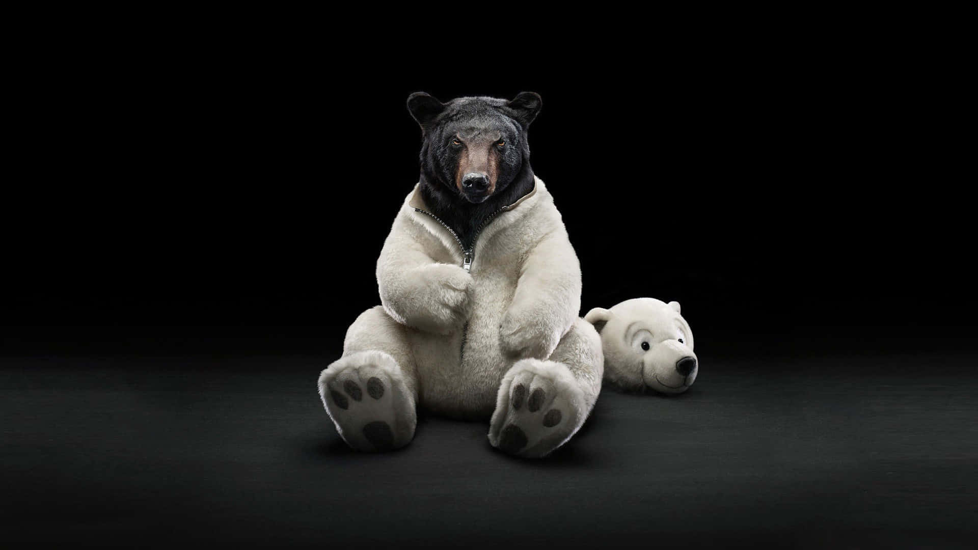Absurd Black Bear Background
