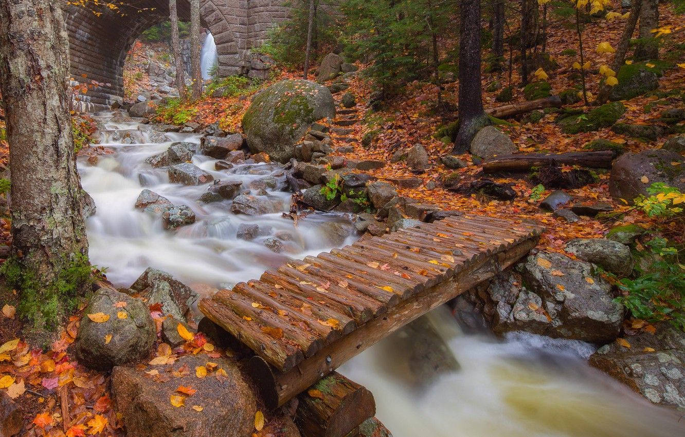 Acadia National Park Bridge Background