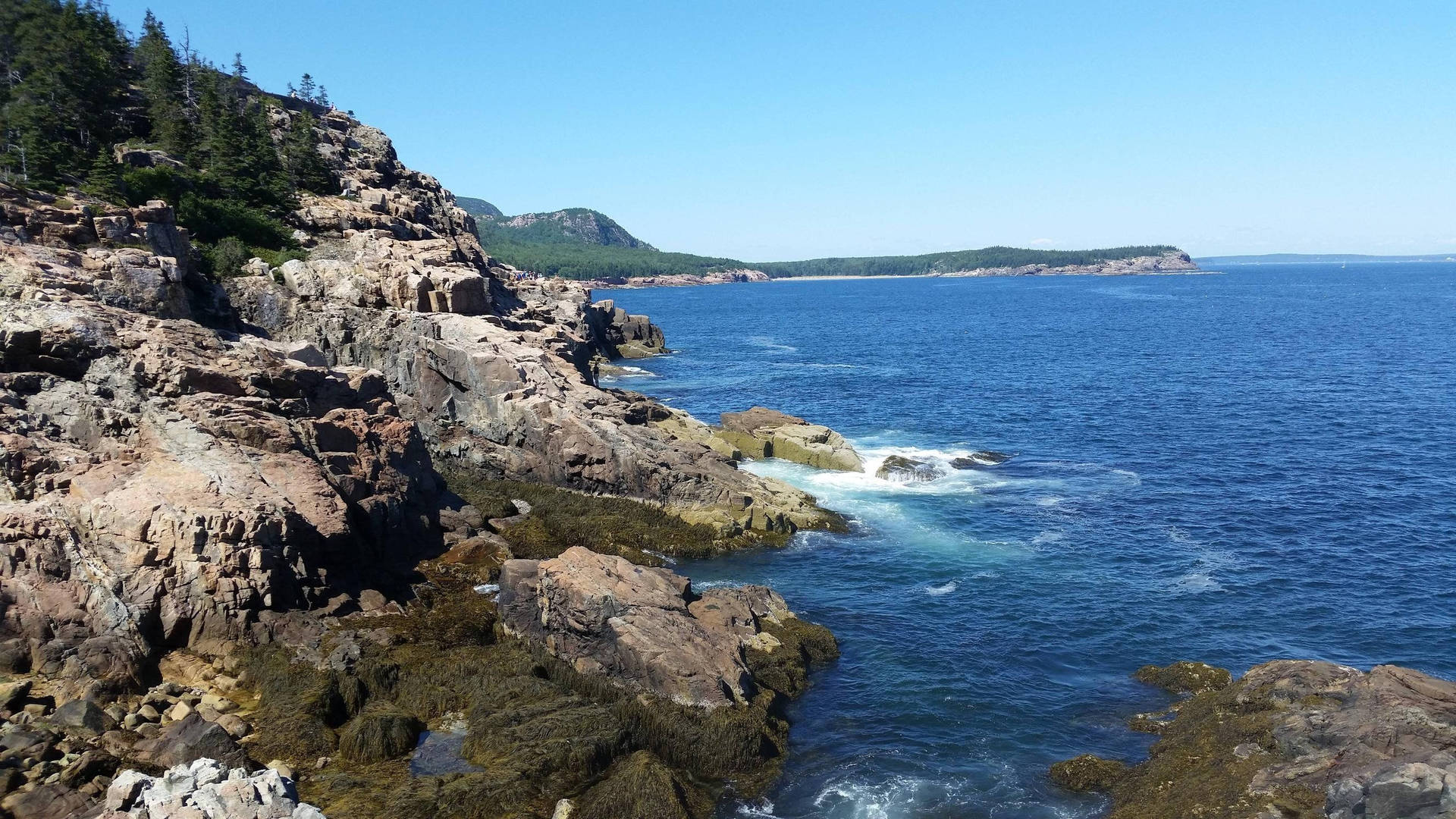 Acadia National Park Coast