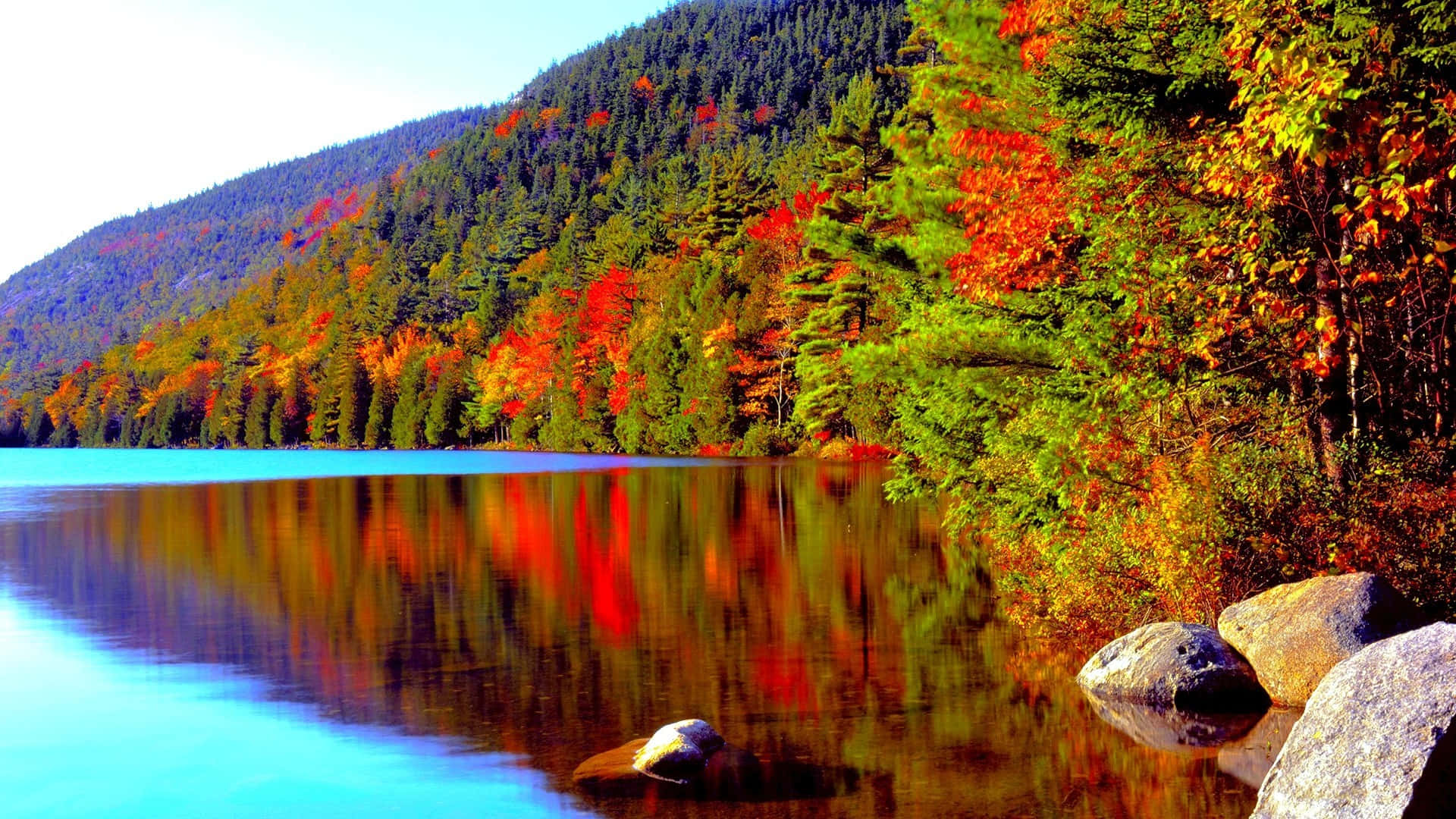 Acadia National Park High Resolution Fall Background